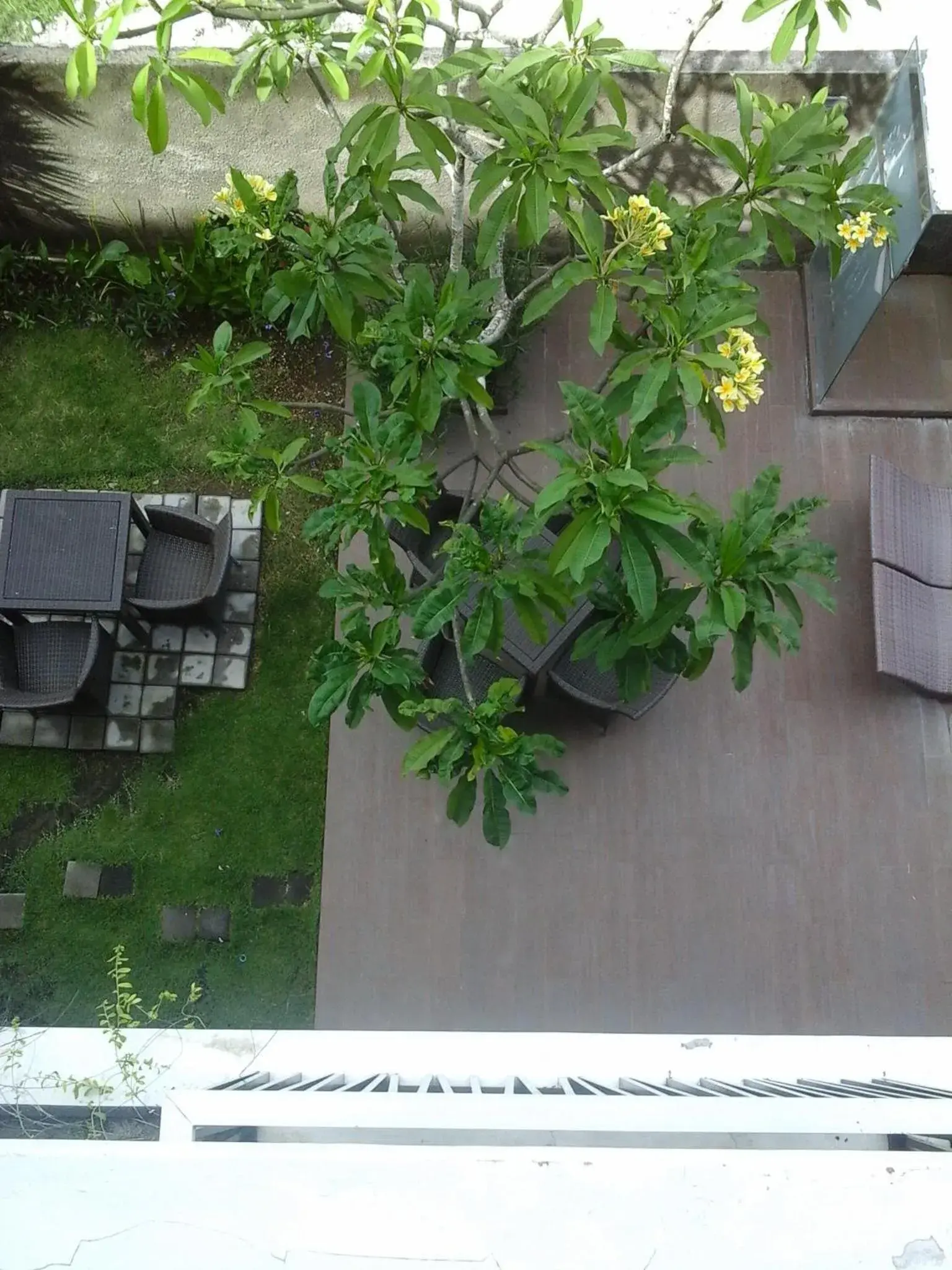 Garden view in Dream @ Jimbaran