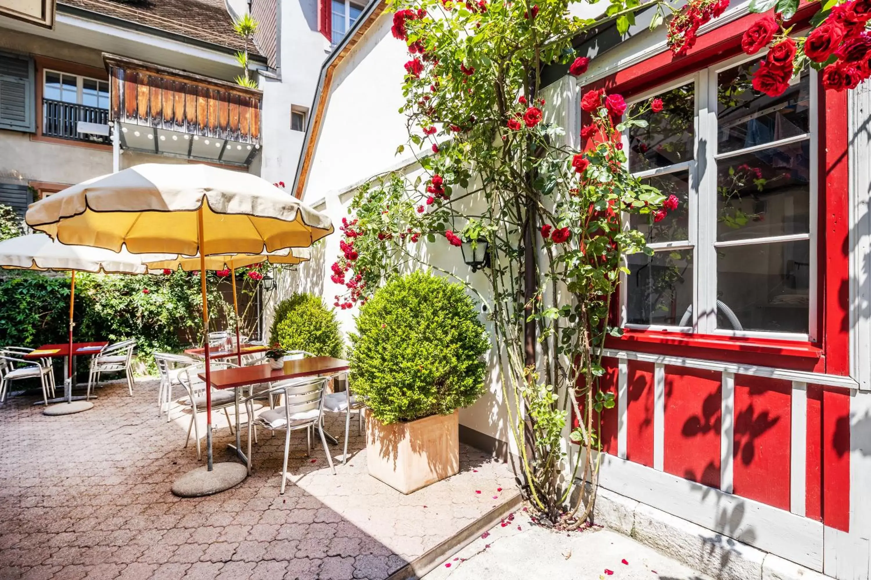 Balcony/Terrace in Hotel Roter Ochsen