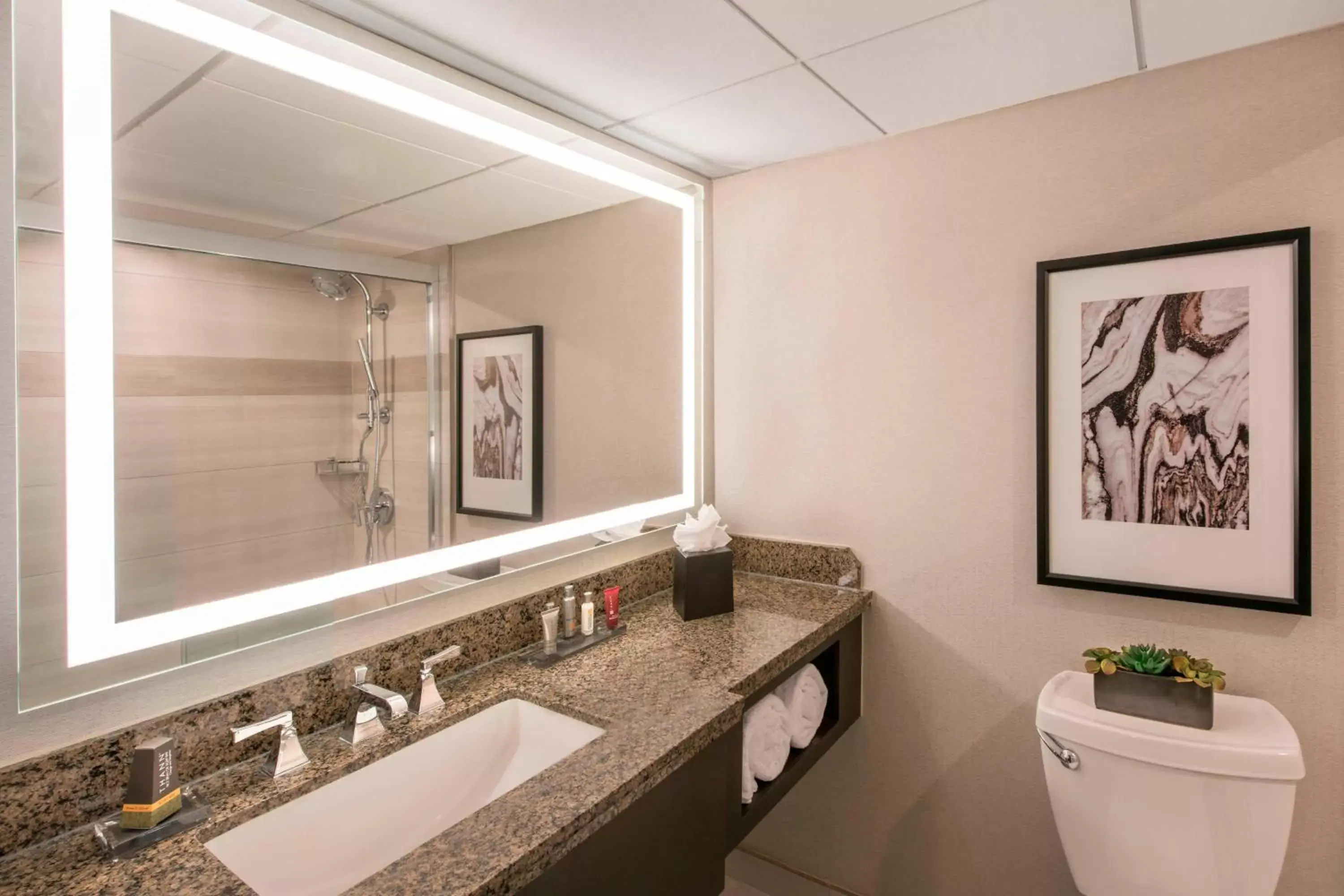 Bathroom in Denver Marriott Tech Center