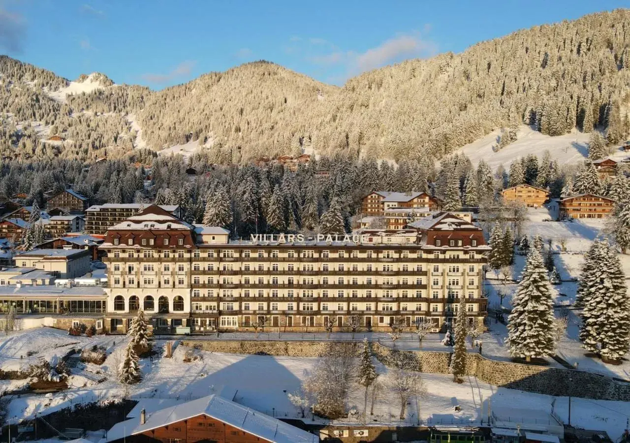 Property building, Winter in Villars Palace