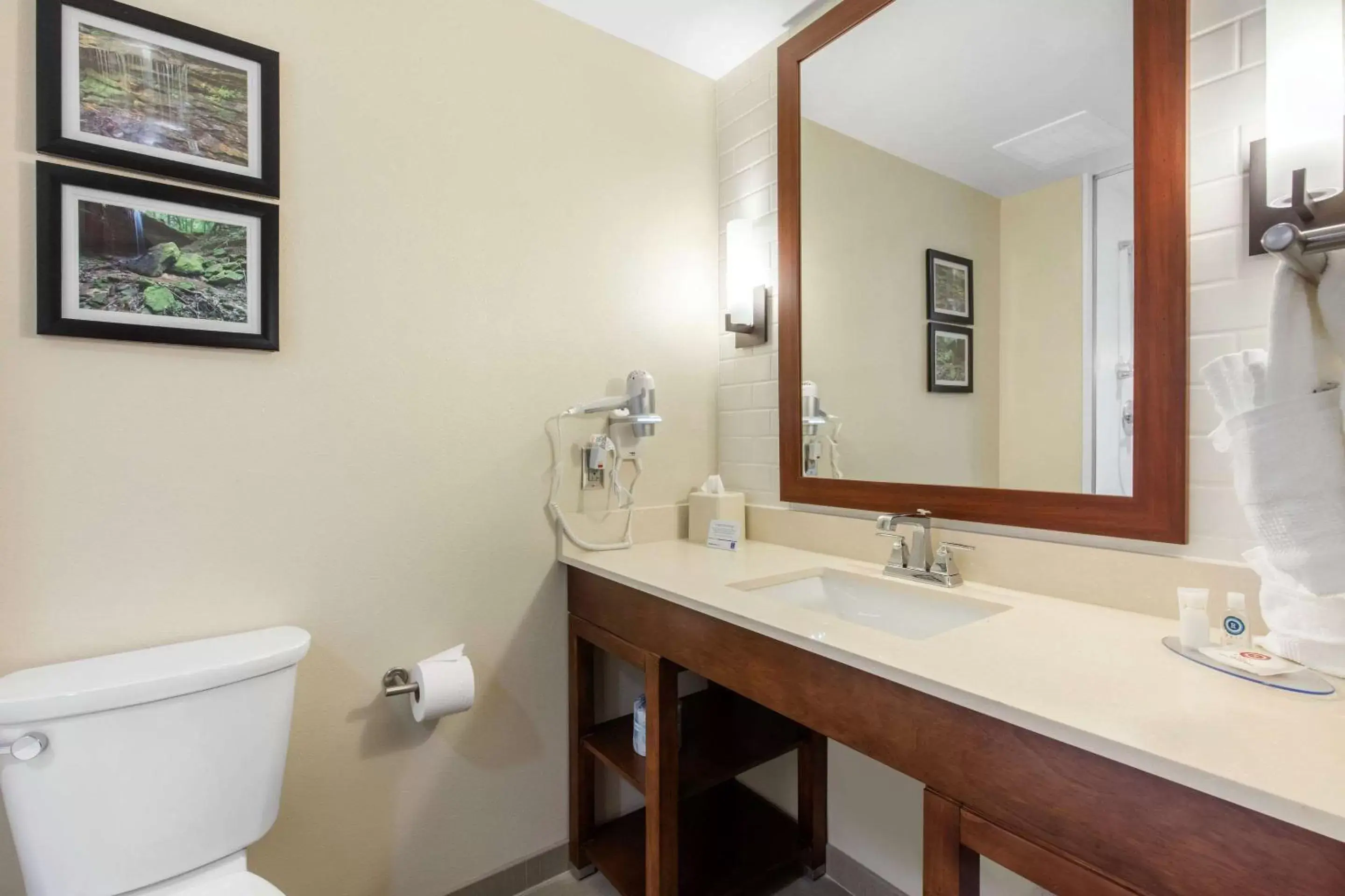 Bathroom in Comfort Inn & Suites at CrossPlex Village