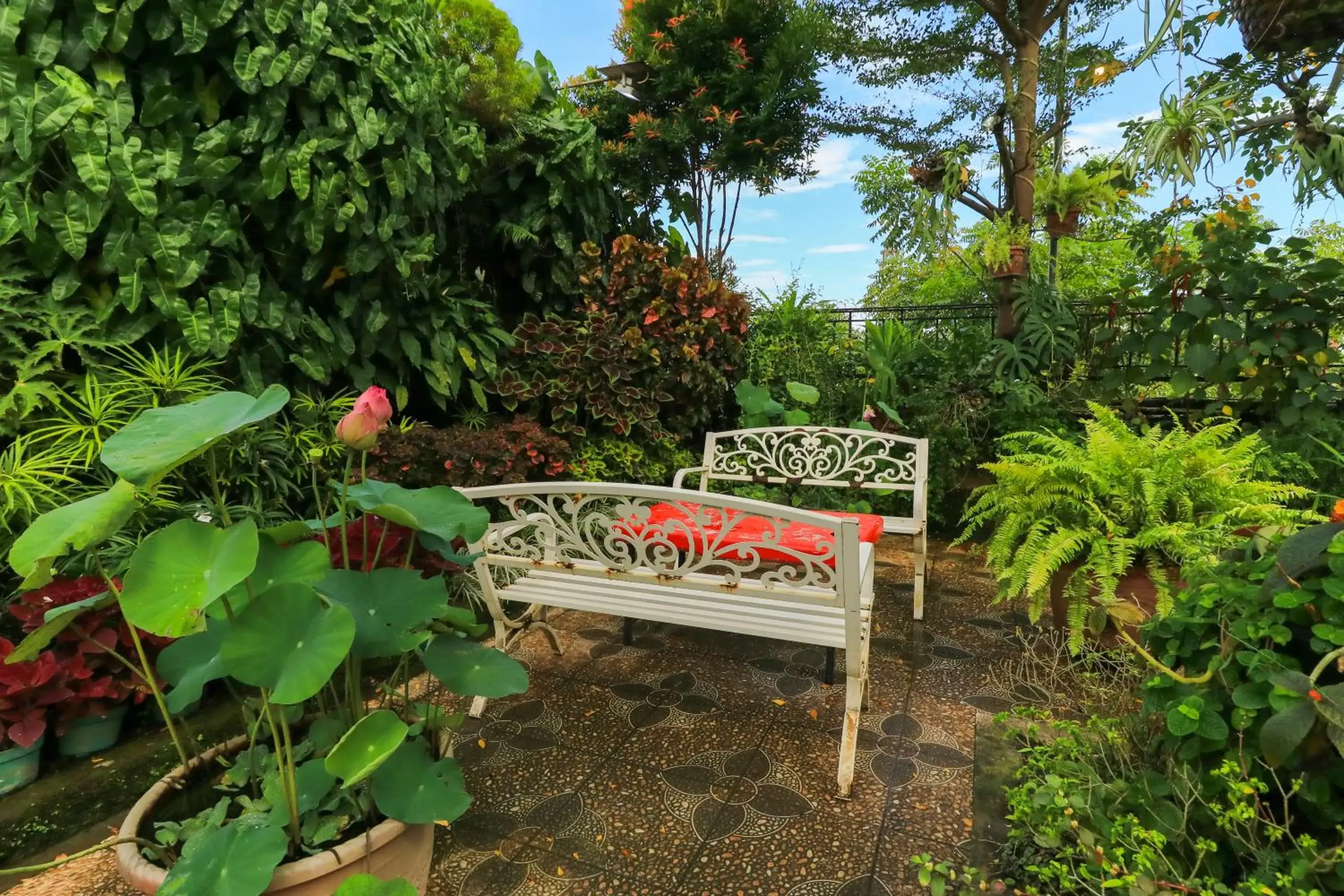 Garden in Labuana Homestay & Cafe Garden by ZUZU