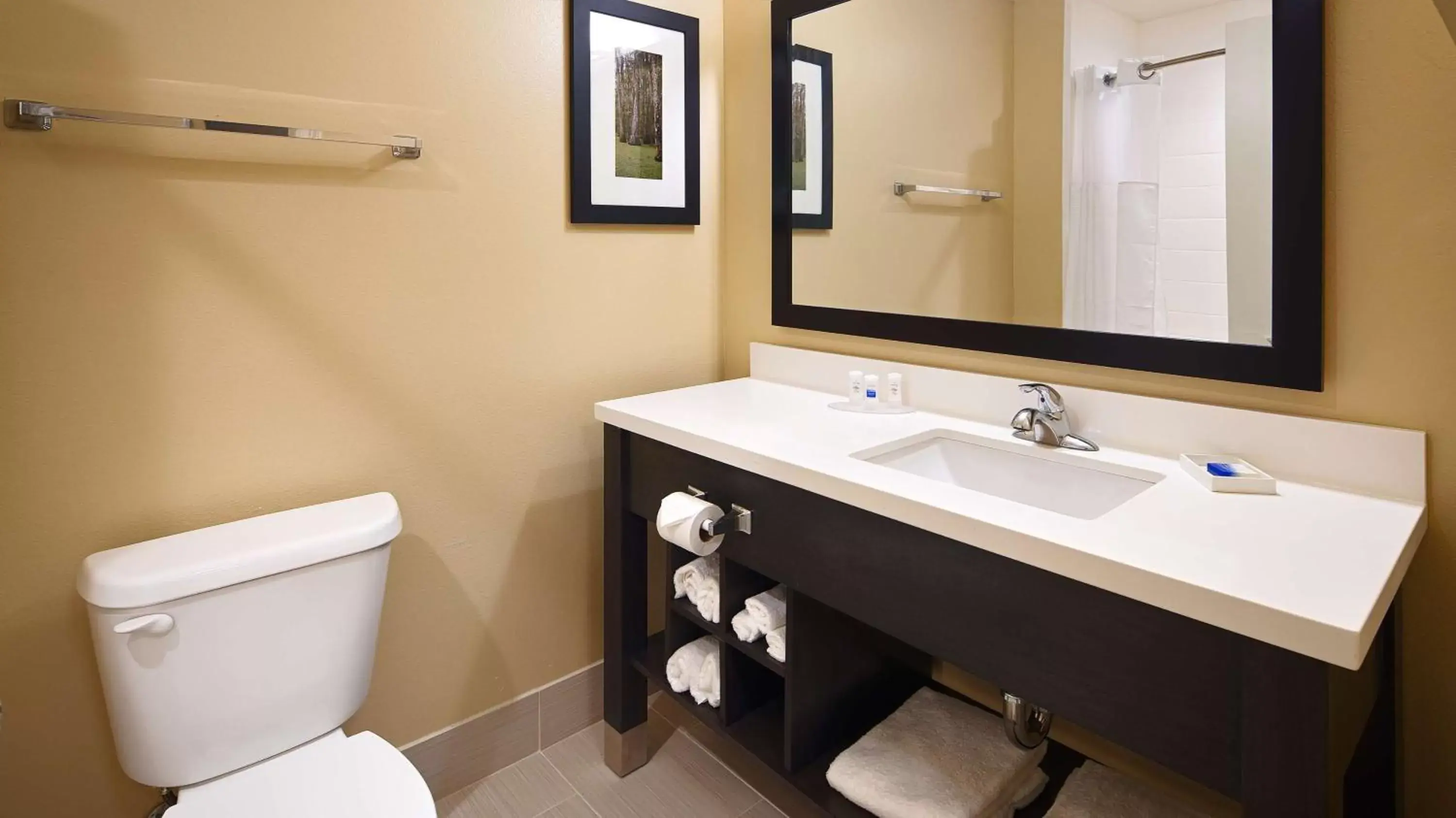 Bathroom in Best Western Plus New Orleans Airport Hotel