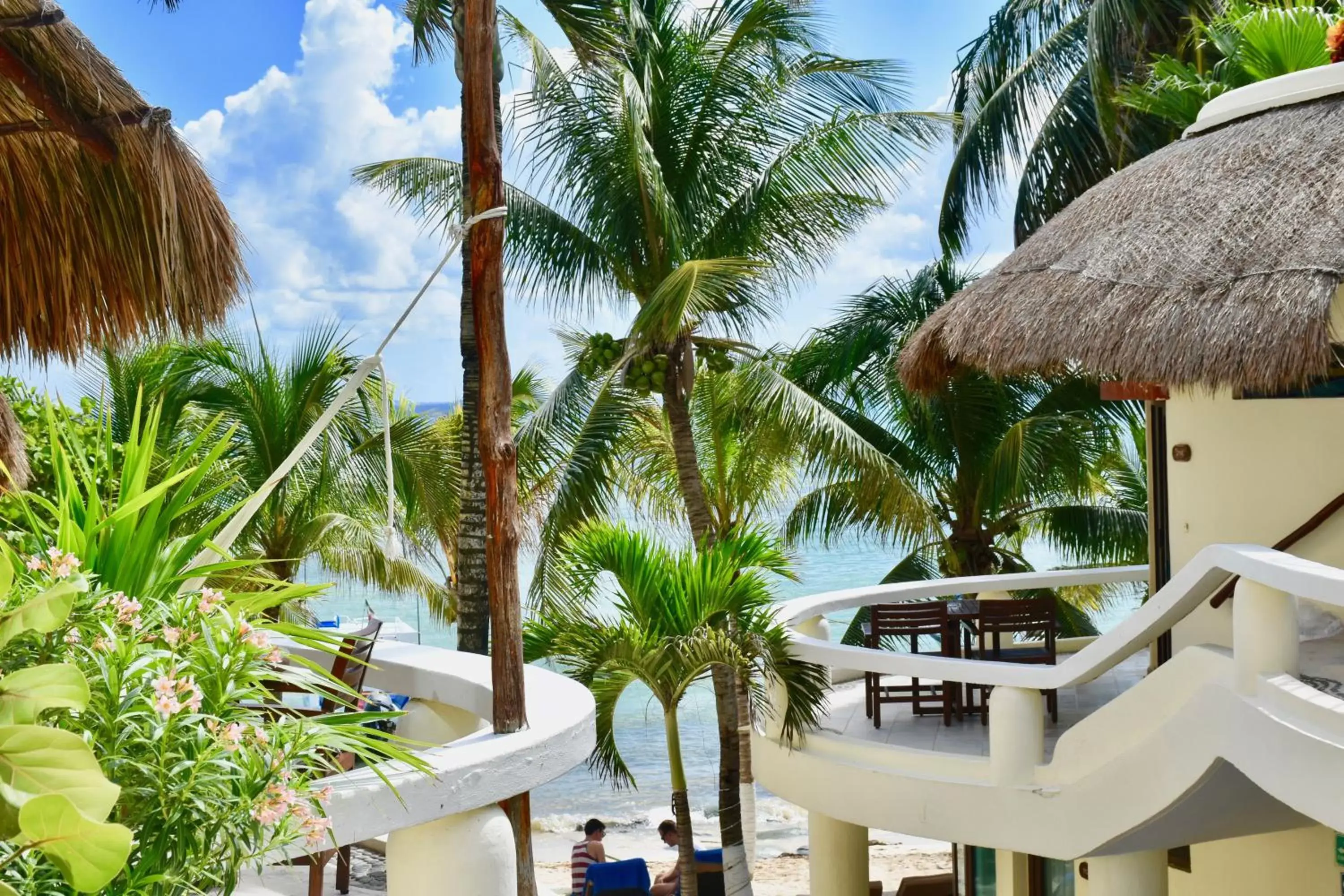 Balcony/Terrace in Playa Palms Beach Hotel