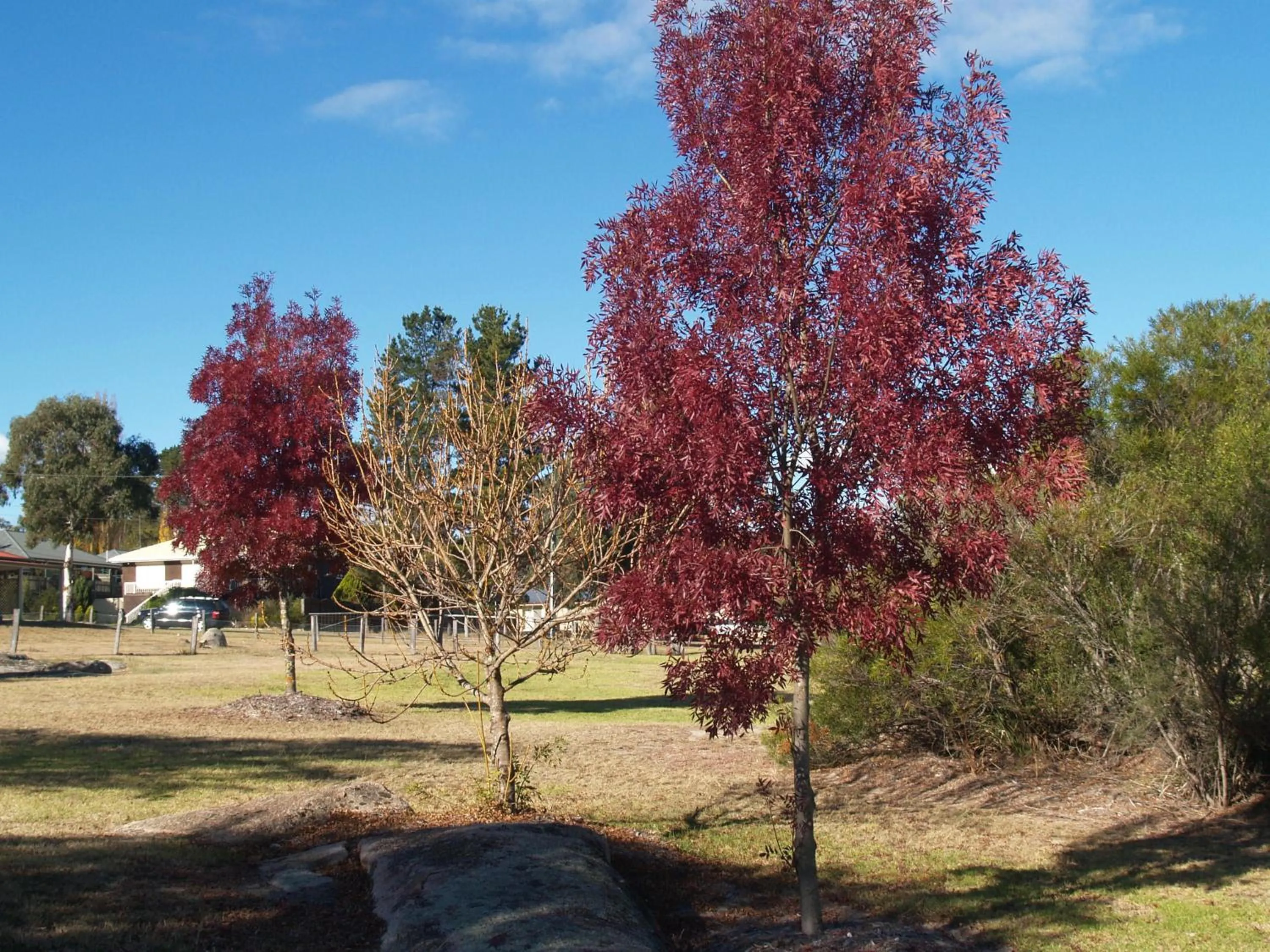 Garden in Boulevard Motel