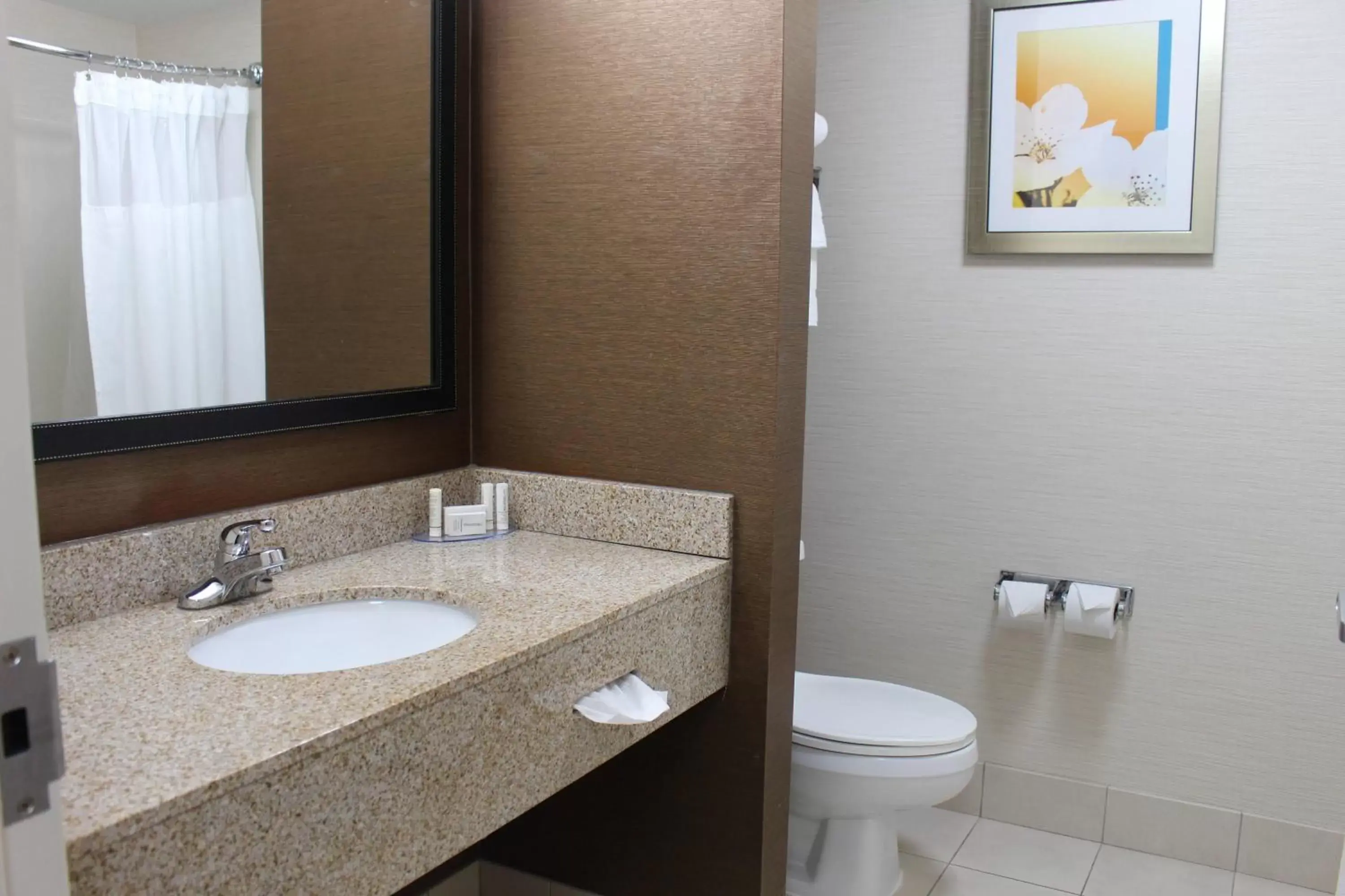 Bathroom in Fairfield Inn & Suites Kansas City Liberty