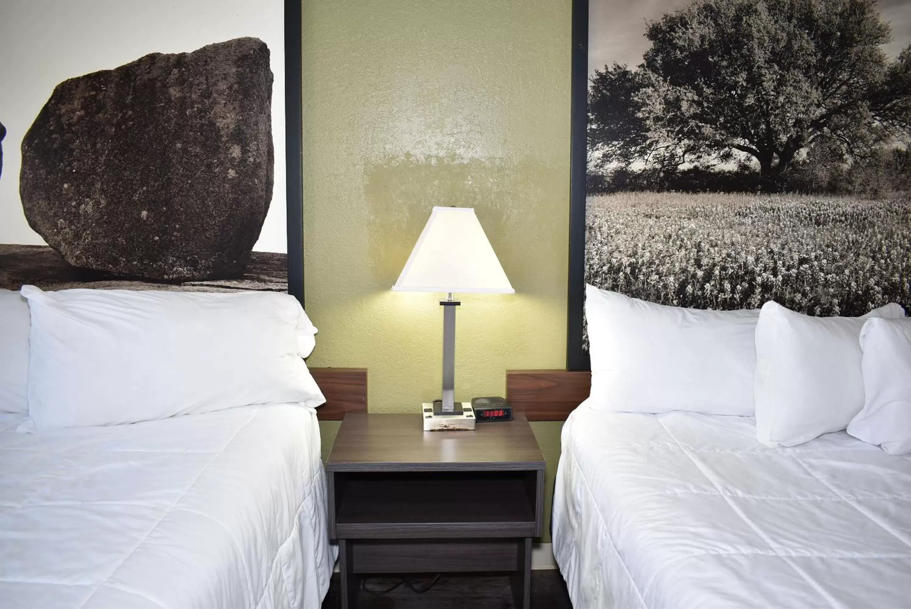 Bedroom, Bed in Super 8 by Wyndham Fredericksburg