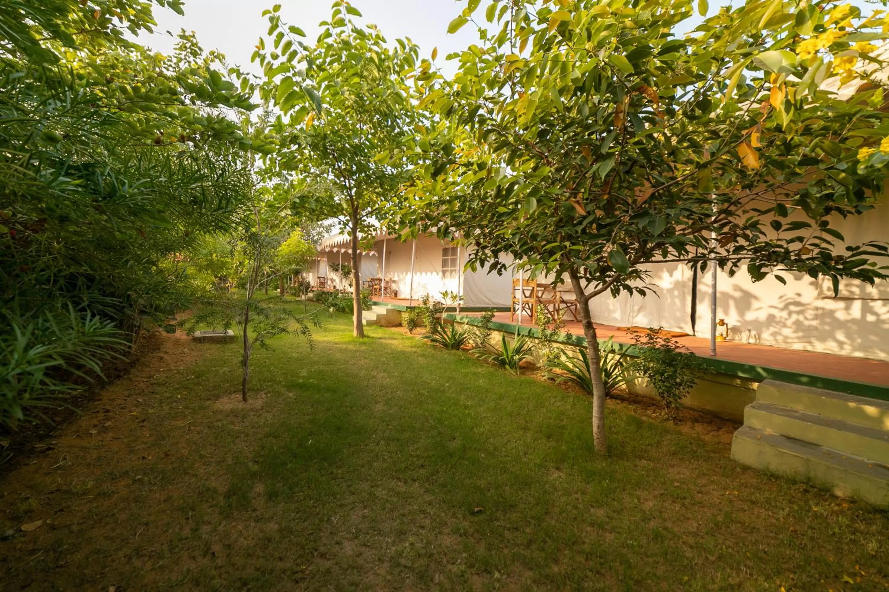 Garden in Madho Bagh