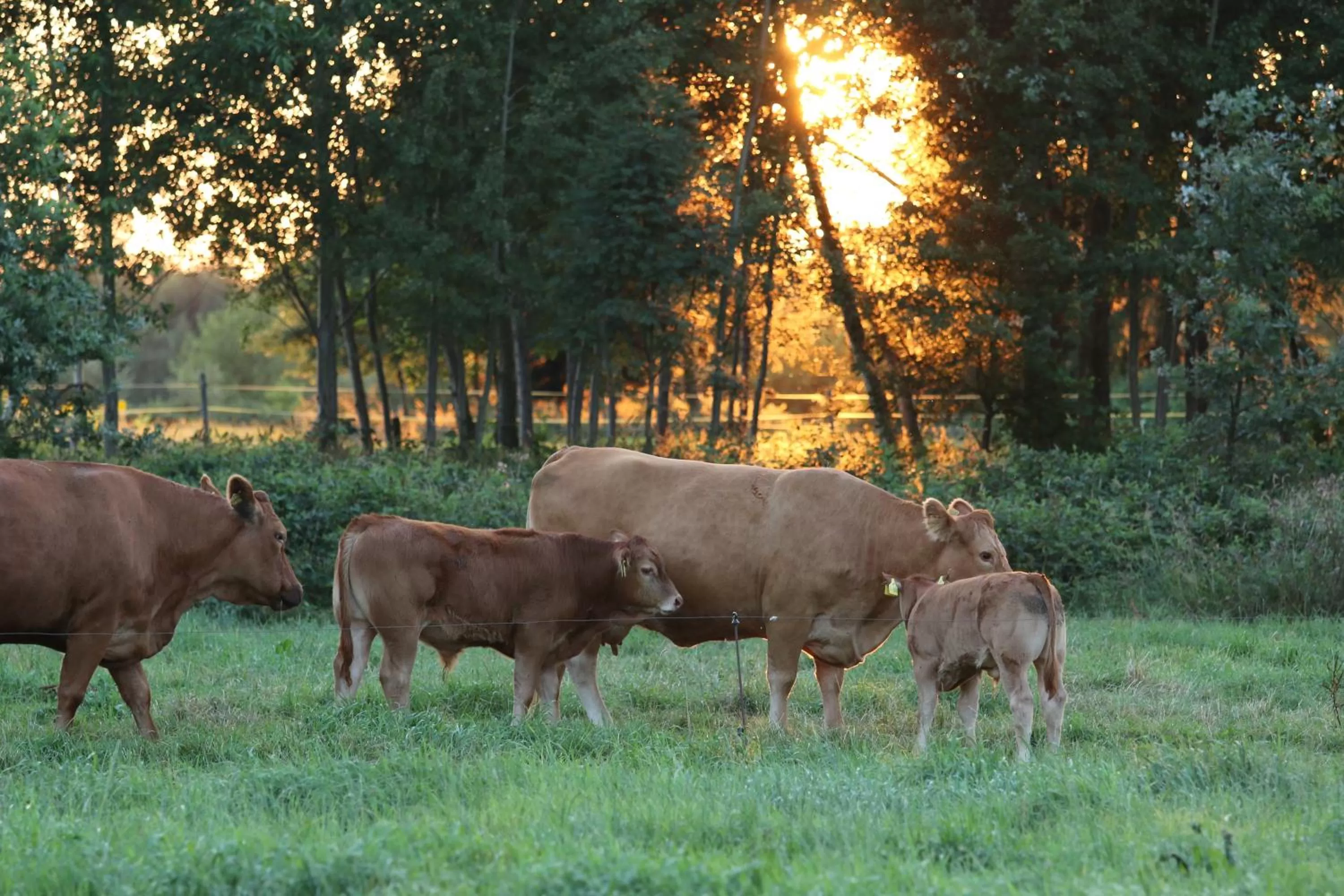 View (from property/room) in Buntes Moor
