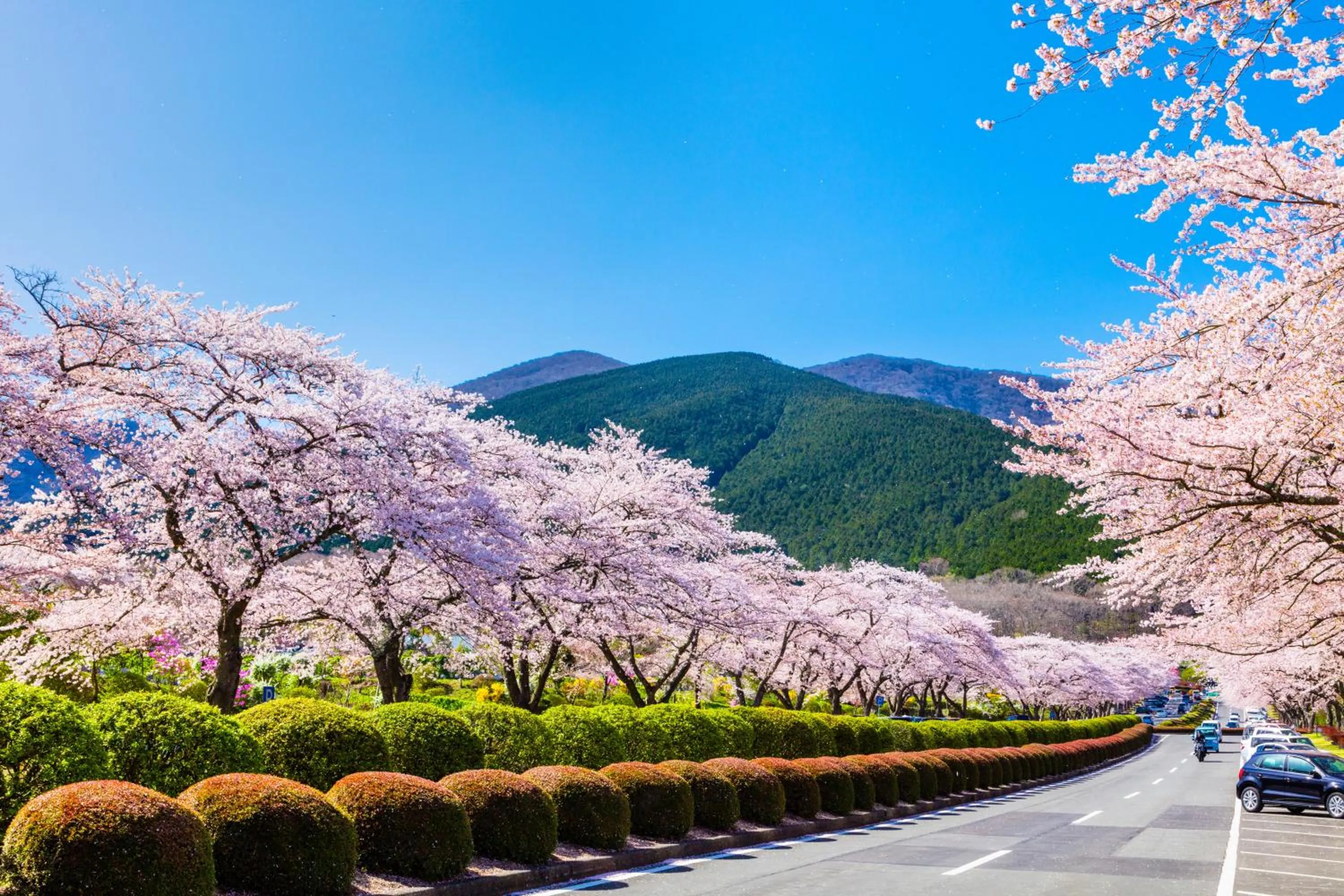 Nearby landmark in Fuji Speedway Hotel, in The Unbound Collection by Hyatt