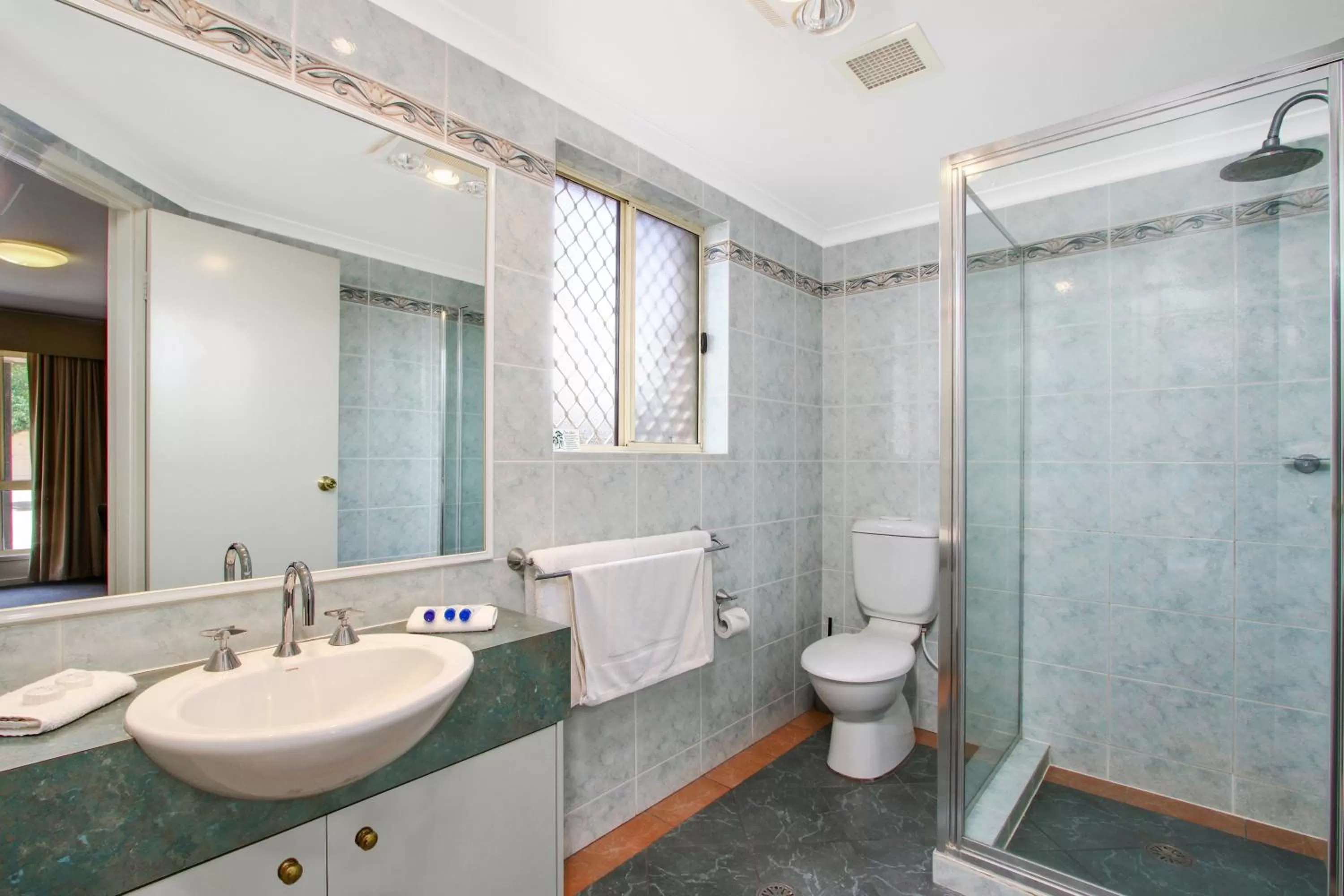 Toilet in Thunderbird Motel Yass