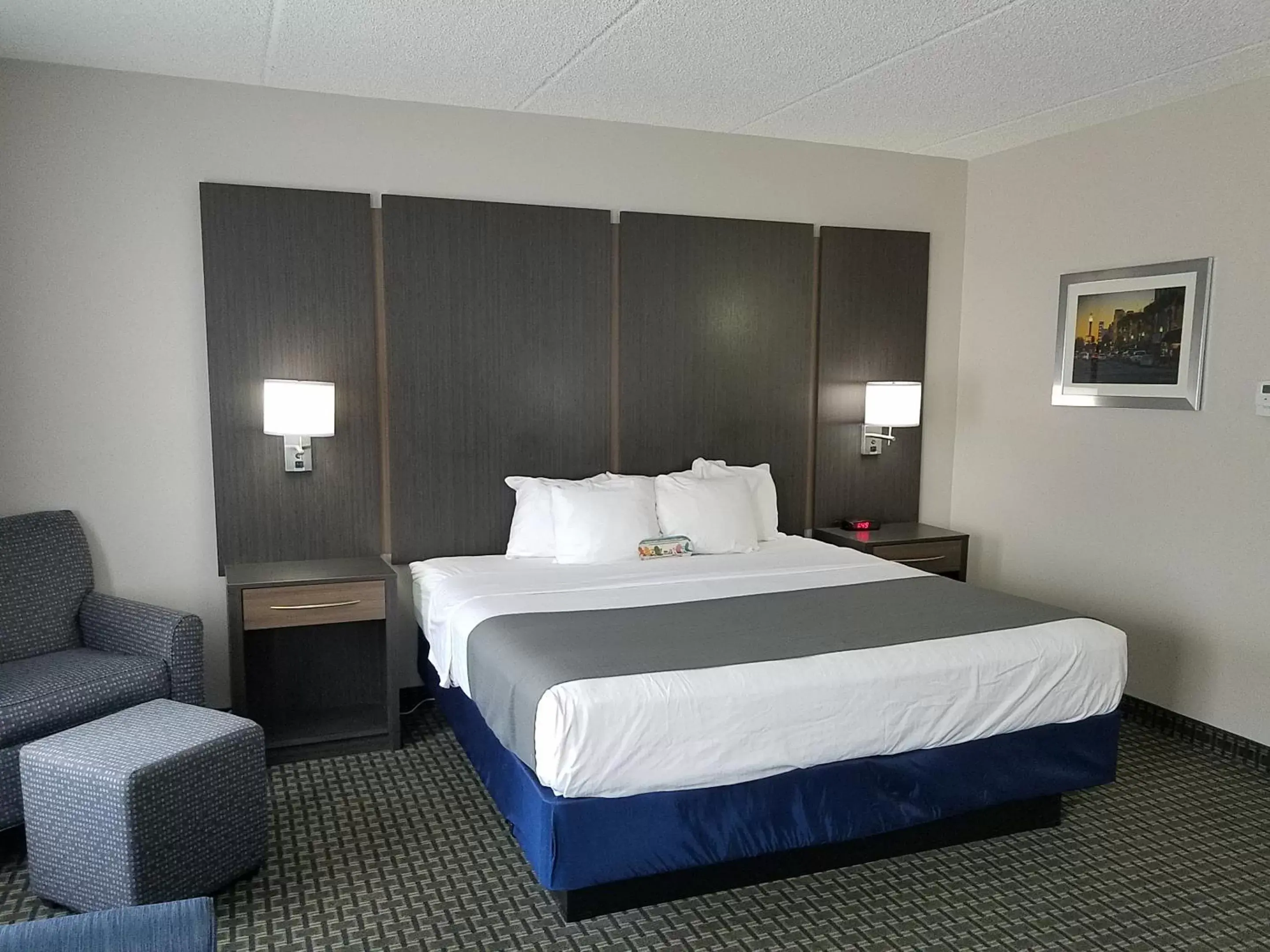 Bedroom, Bed in Best Western Ocala Park Centre