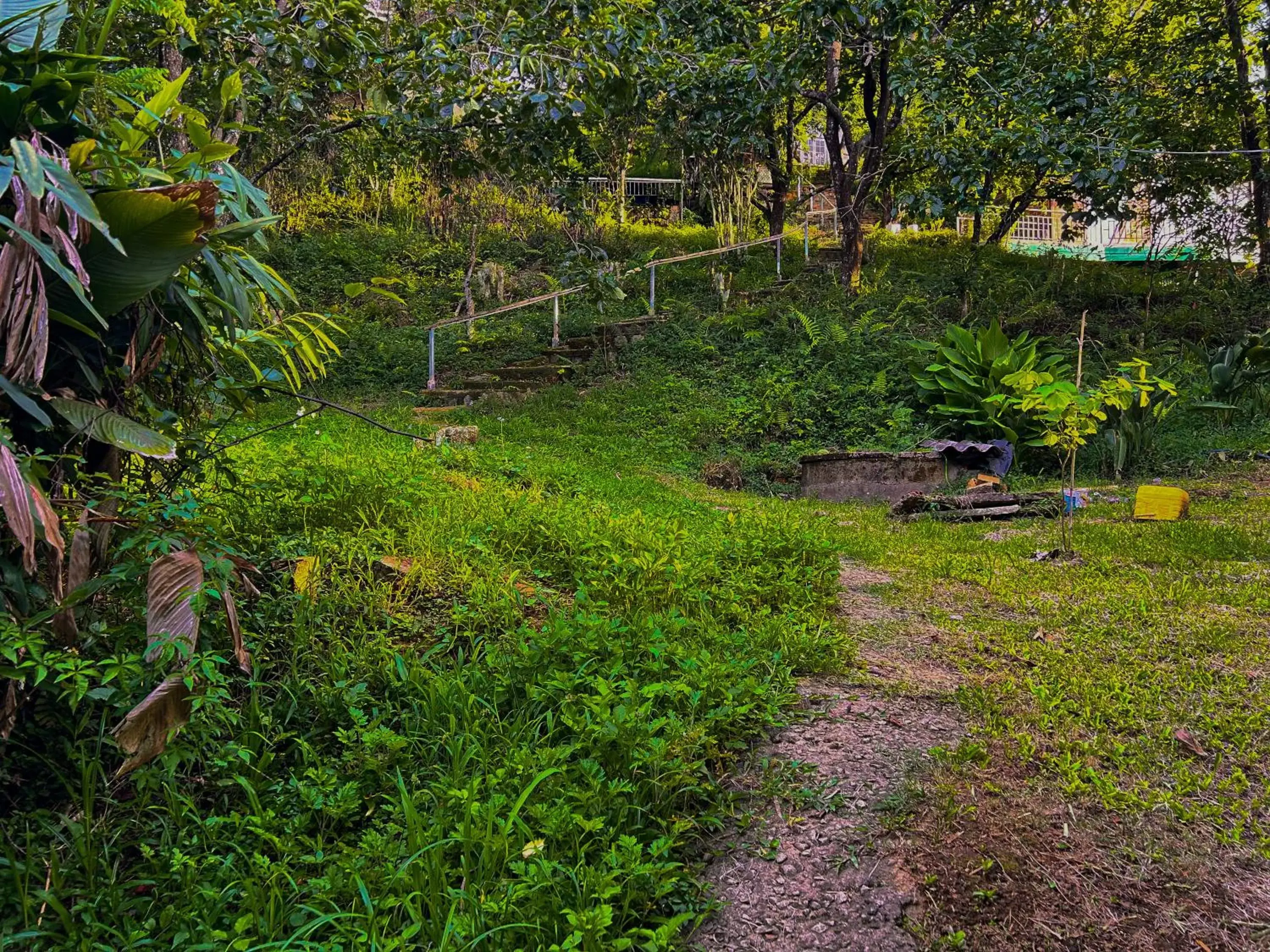 Day, Garden in Hong Mon Villa