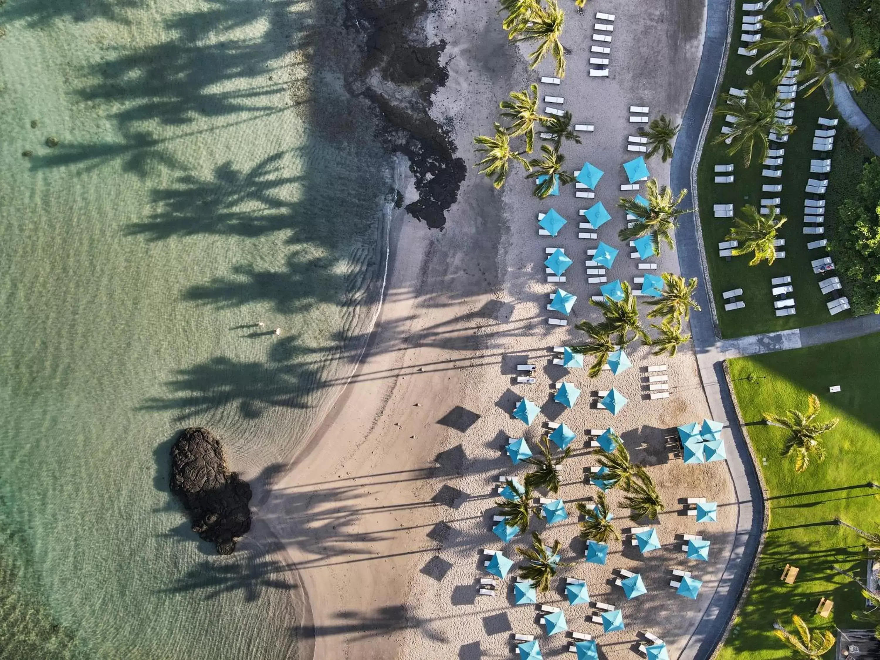 Beach, Bird's-eye View in Mauna Lani, Auberge Resorts Collection