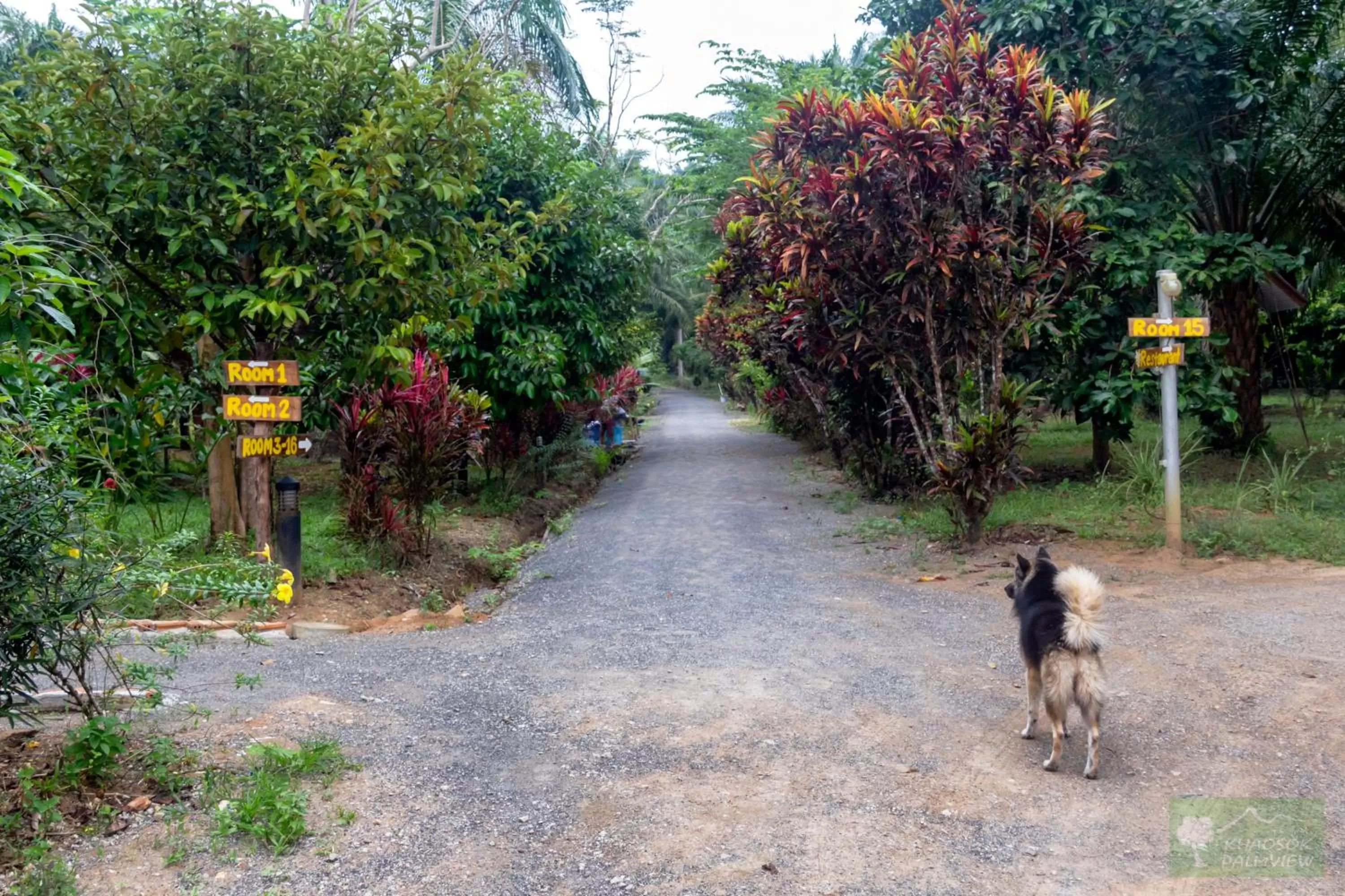 Garden in Khao Sok Palmview Resort
