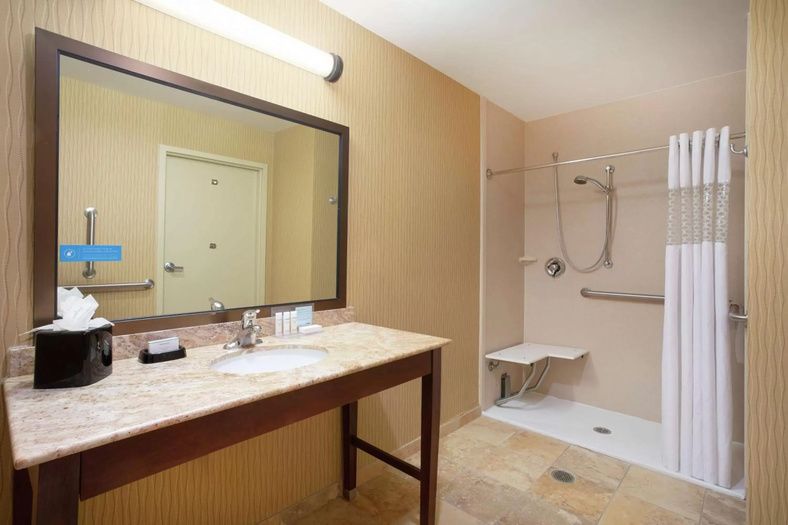 Bathroom in Hampton Inn and Suites Denver/South-RidgeGate