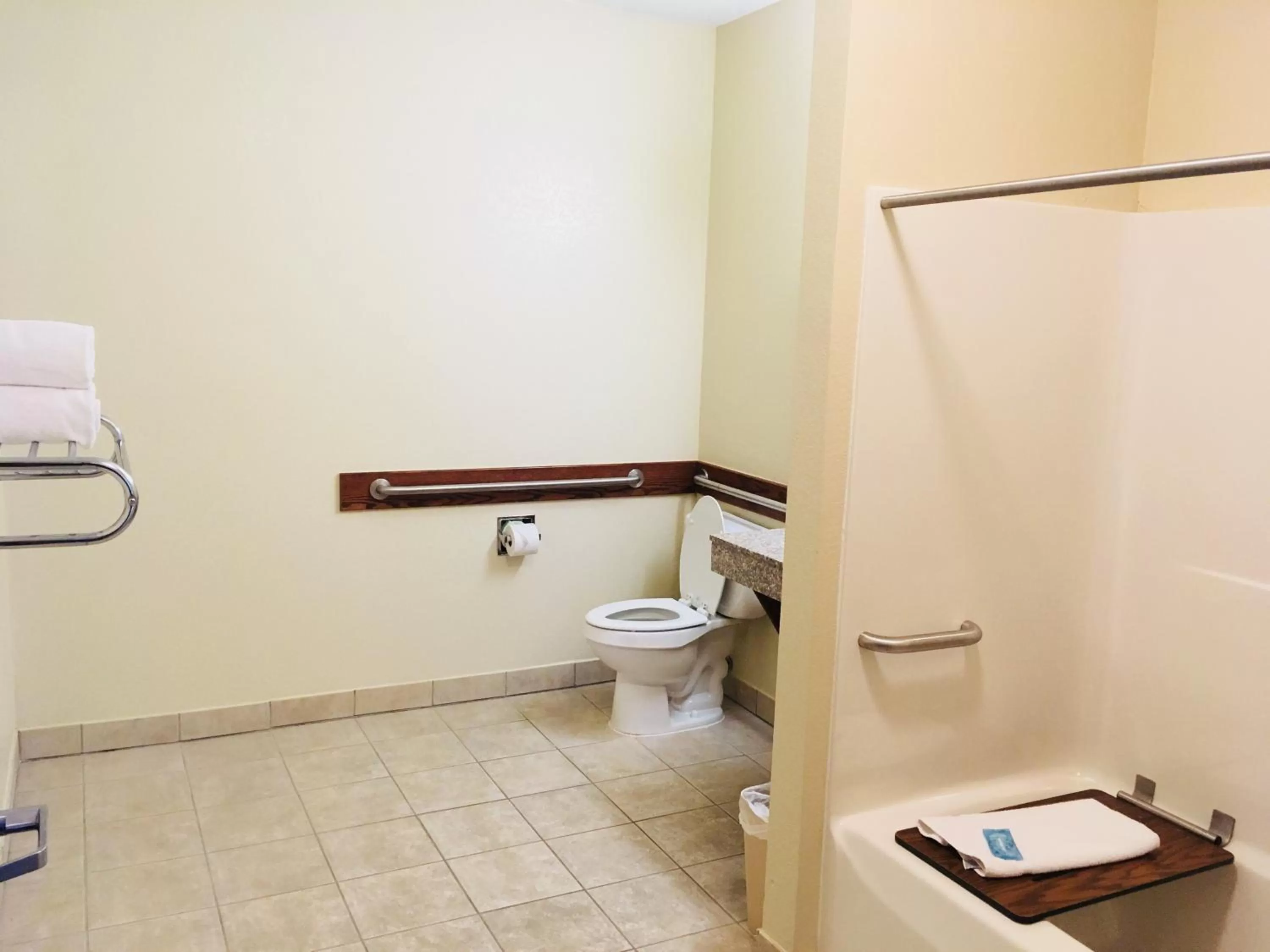 Holiday Inn Express Hotel & Suites Cadillac by IHG