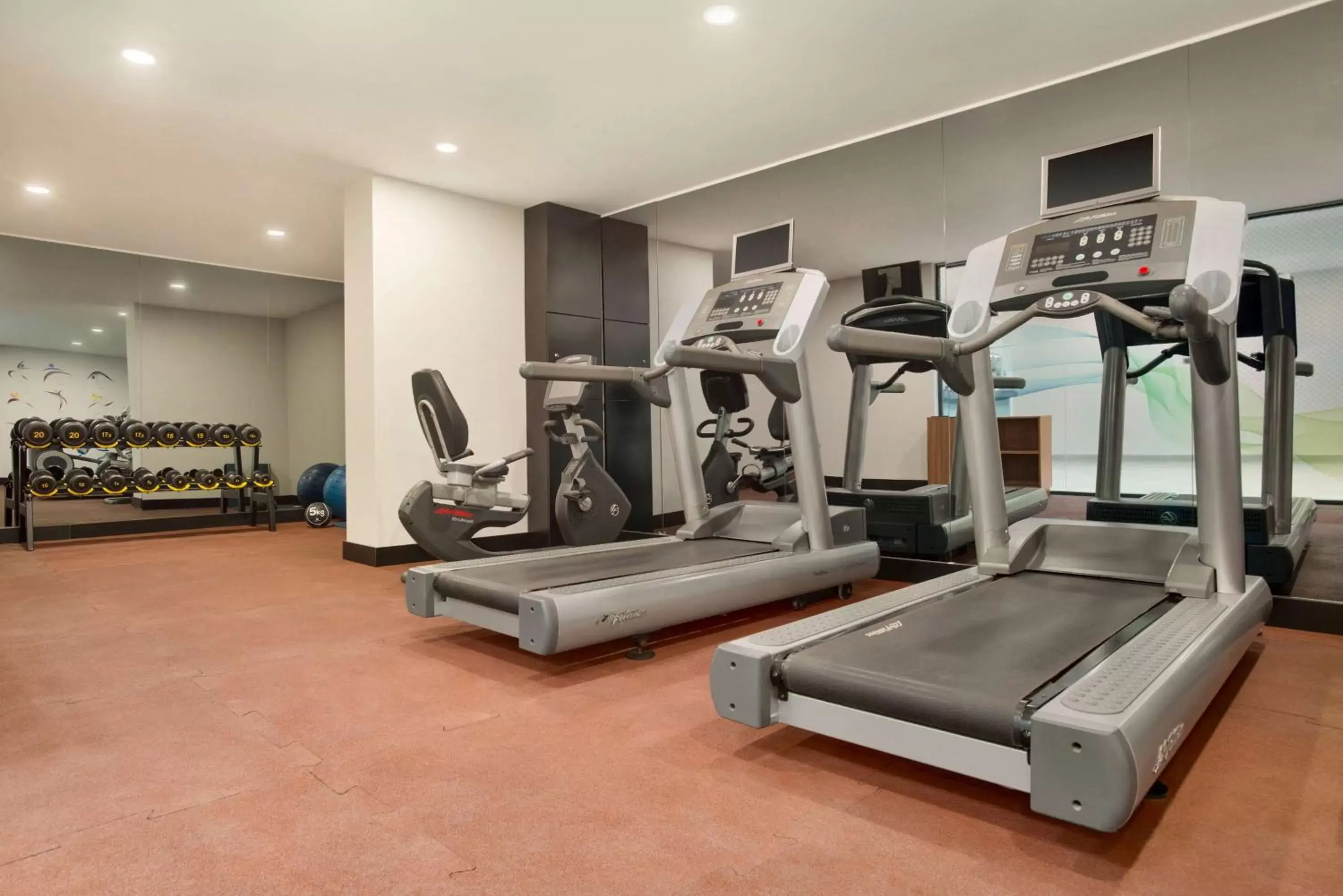 Fitness centre/facilities in Tryp by Wyndham Istanbul Atasehir Fitness centre/facilities in Tryp by Wyndham Istanbul Atasehir