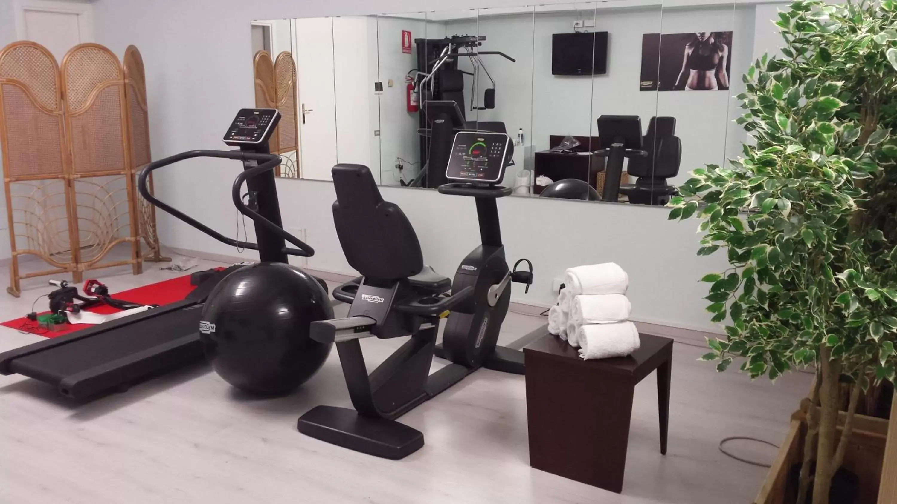 Fitness centre/facilities, Fitness Center/Facilities in Hotel Residence Esplanade