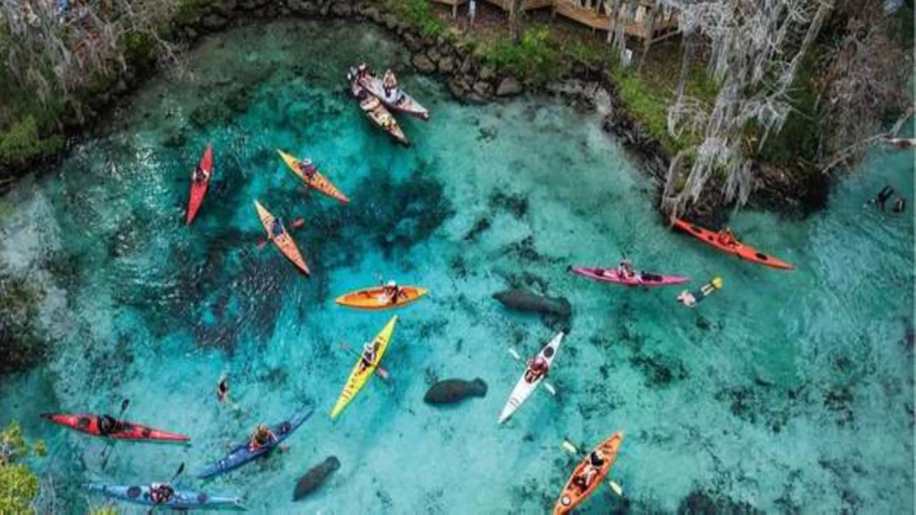 Area and facilities in Holiday Inn Express Hotel & Suites Inverness by IHG