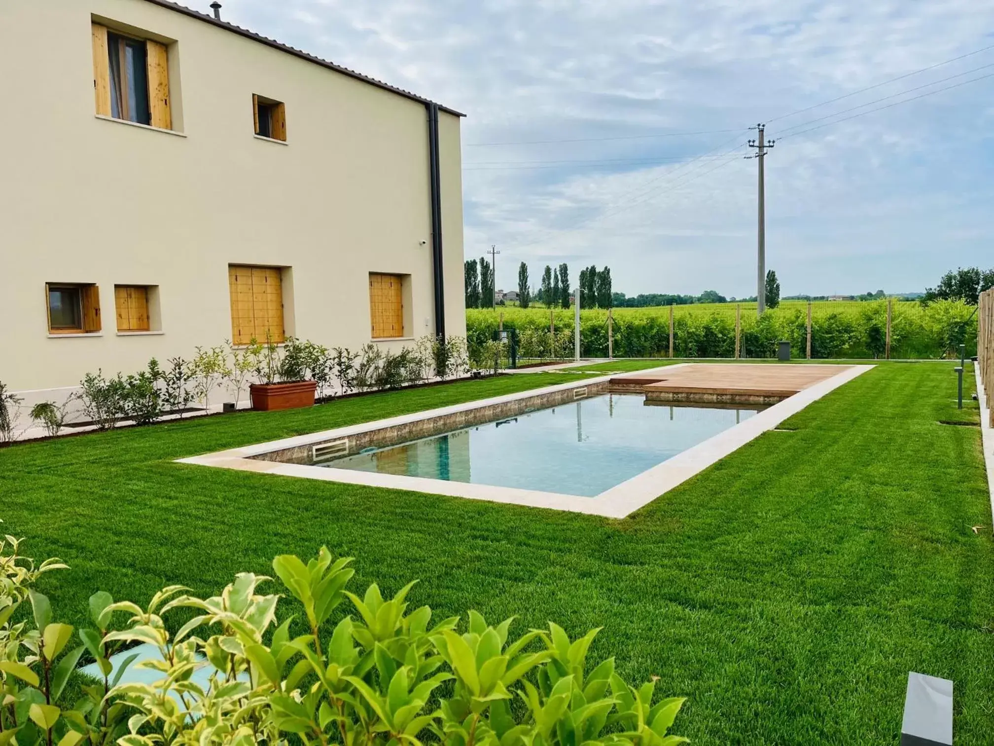 Garden, Swimming Pool in B&B Il Vigneto