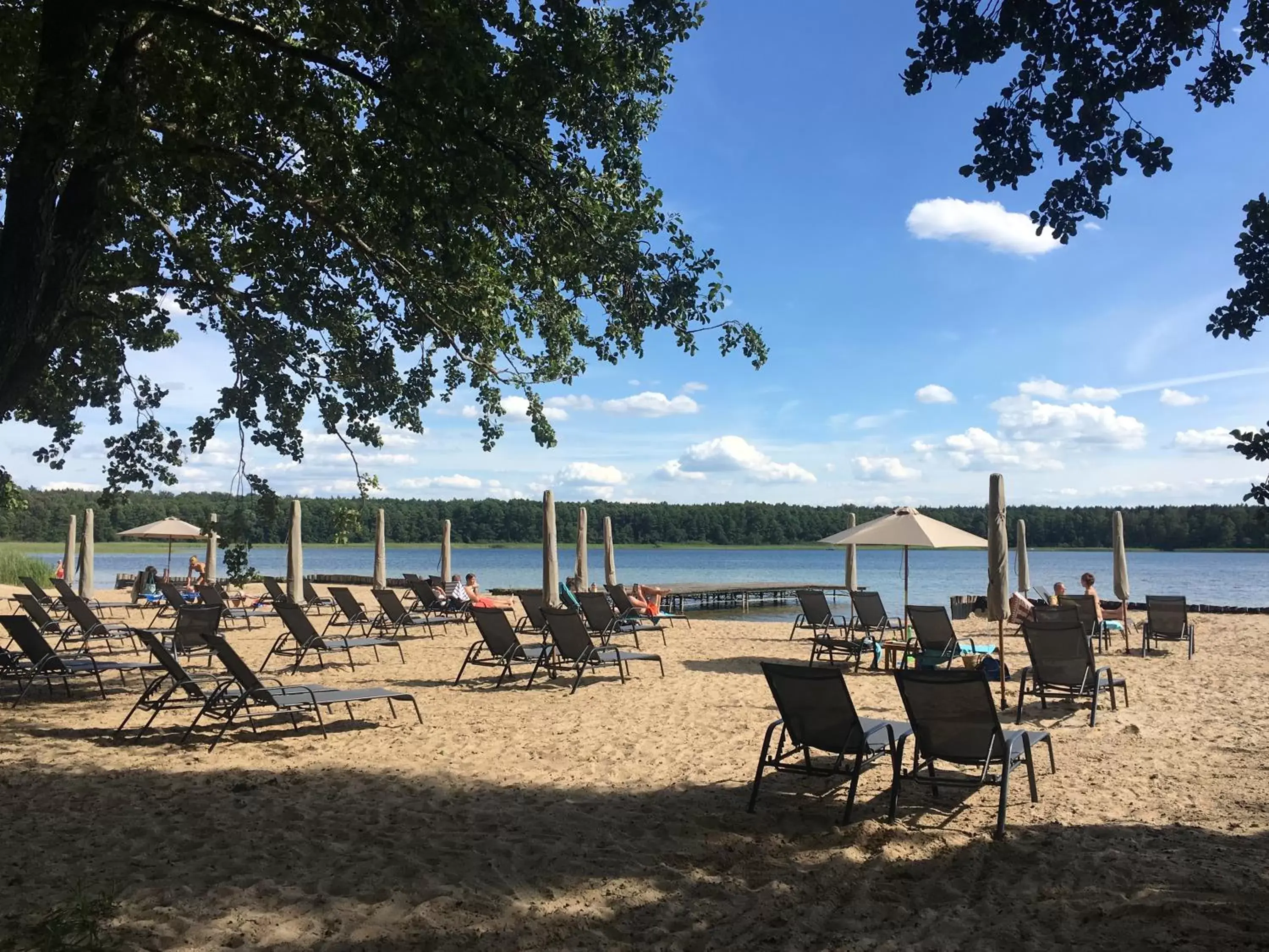 Beach in Hotel Moran & SPA