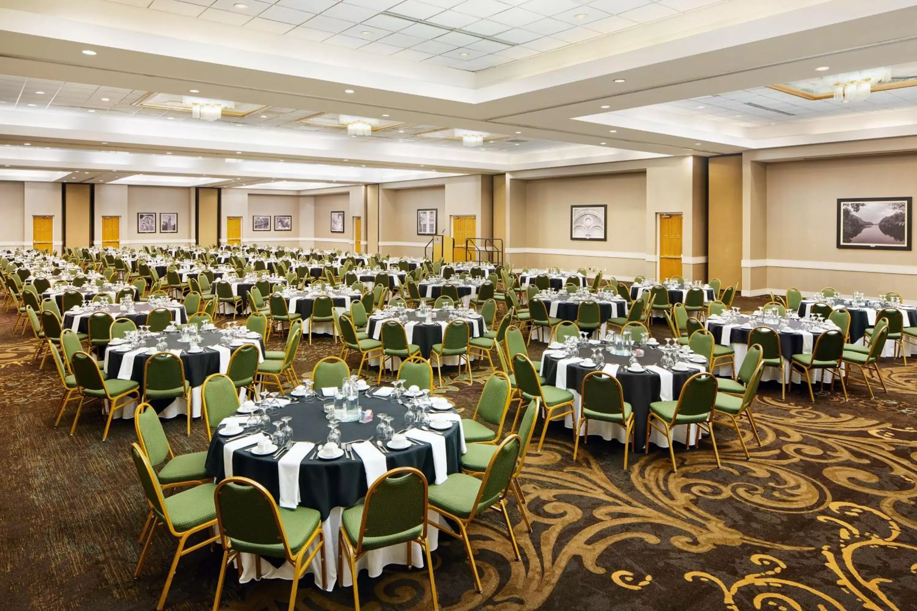 Meeting/conference room, Banquet Facilities in Embassy Suites by Hilton Greensboro Airport