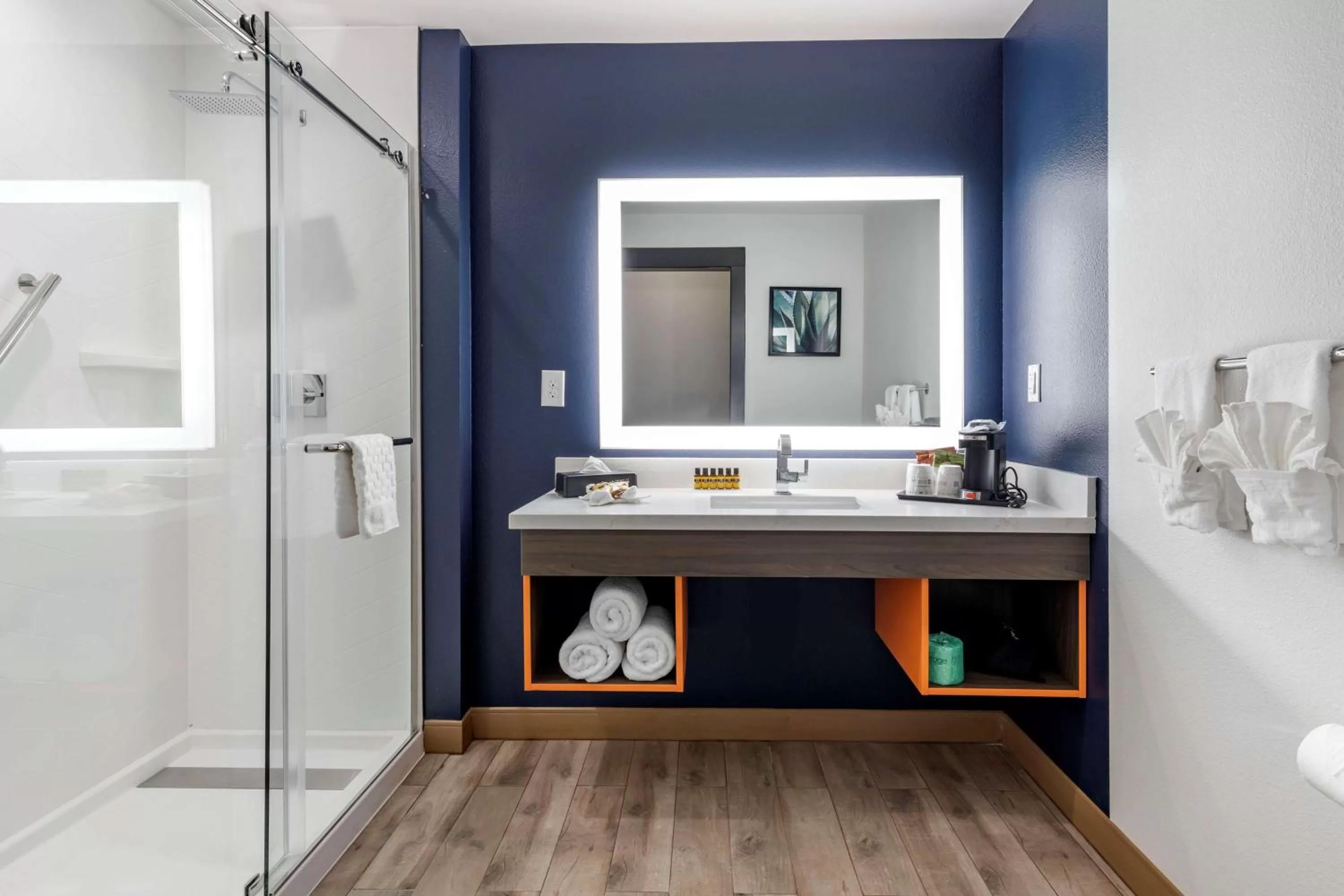 Bathroom in Best Western Plus Amarillo East Hotel