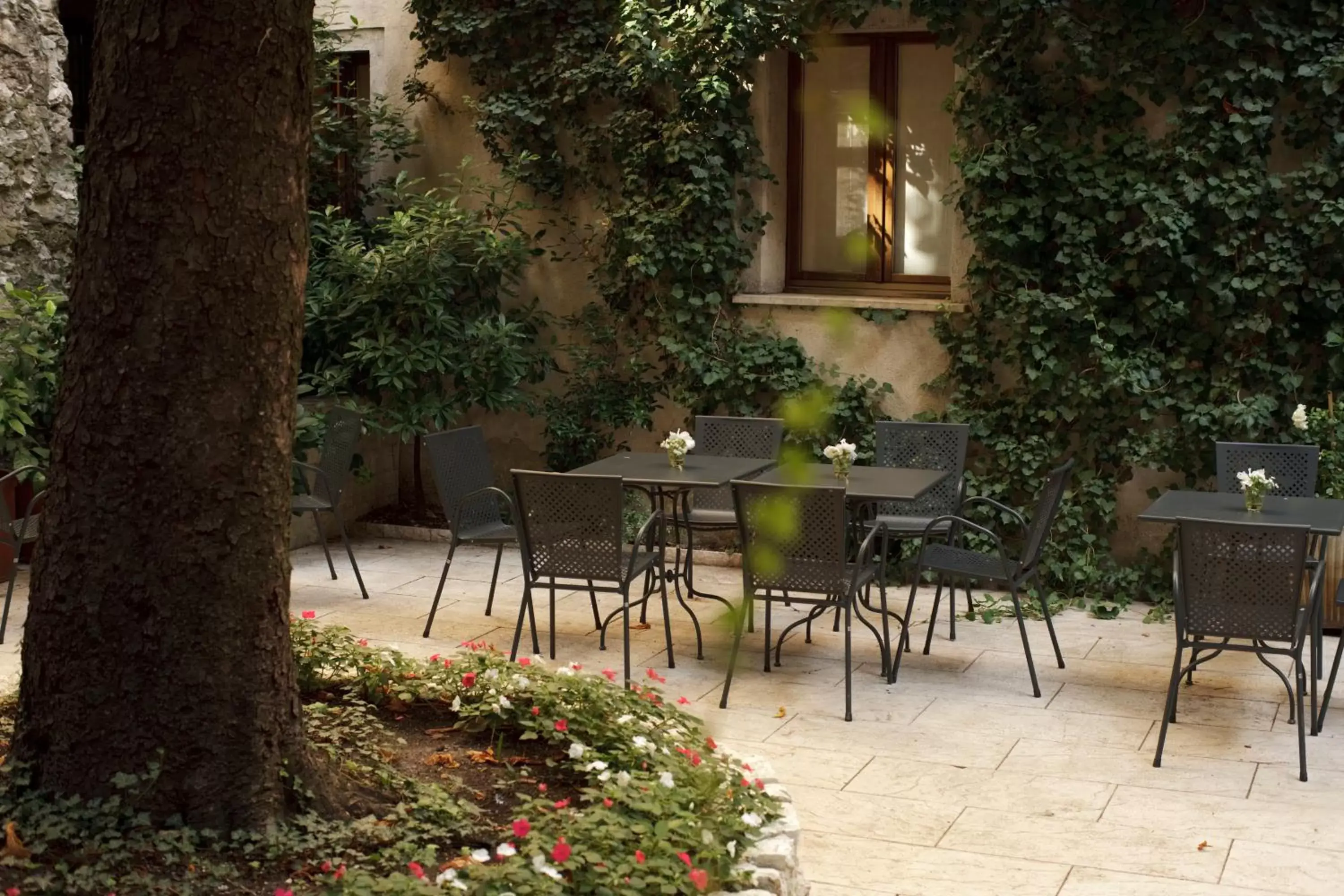 Patio, Patio/Outdoor Area in Albergo Accademia