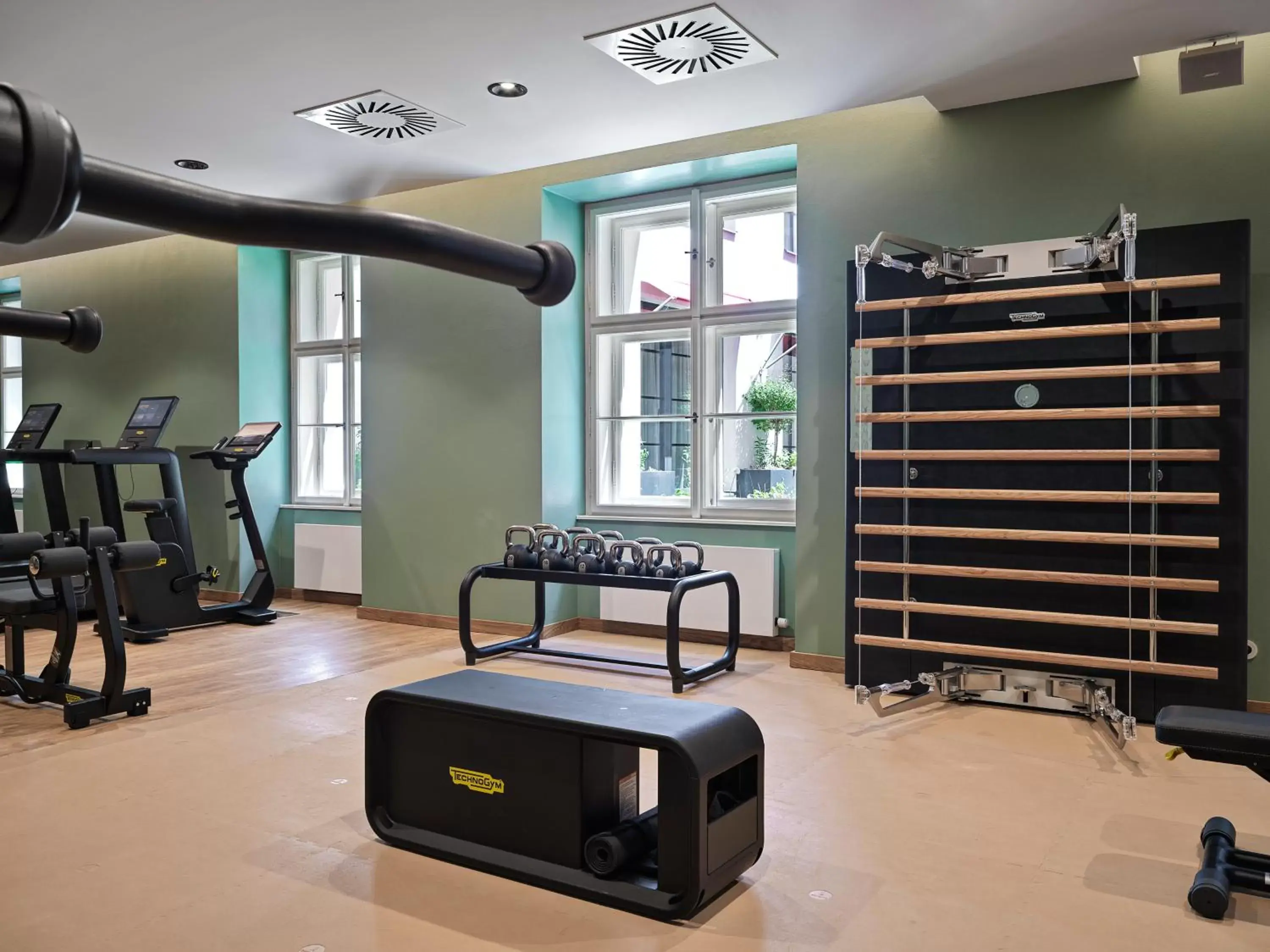 Fitness centre/facilities, Fitness Center/Facilities in The Julius Prague