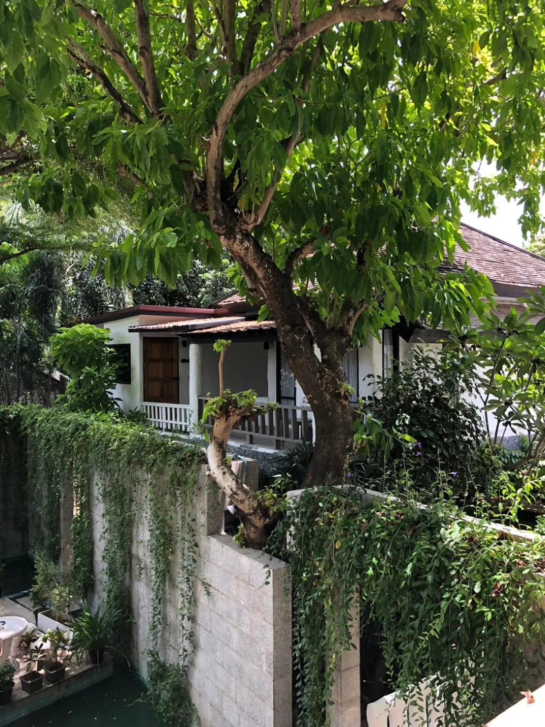 Other in Punnpreeda Beach Resort - SHA Plus Certified