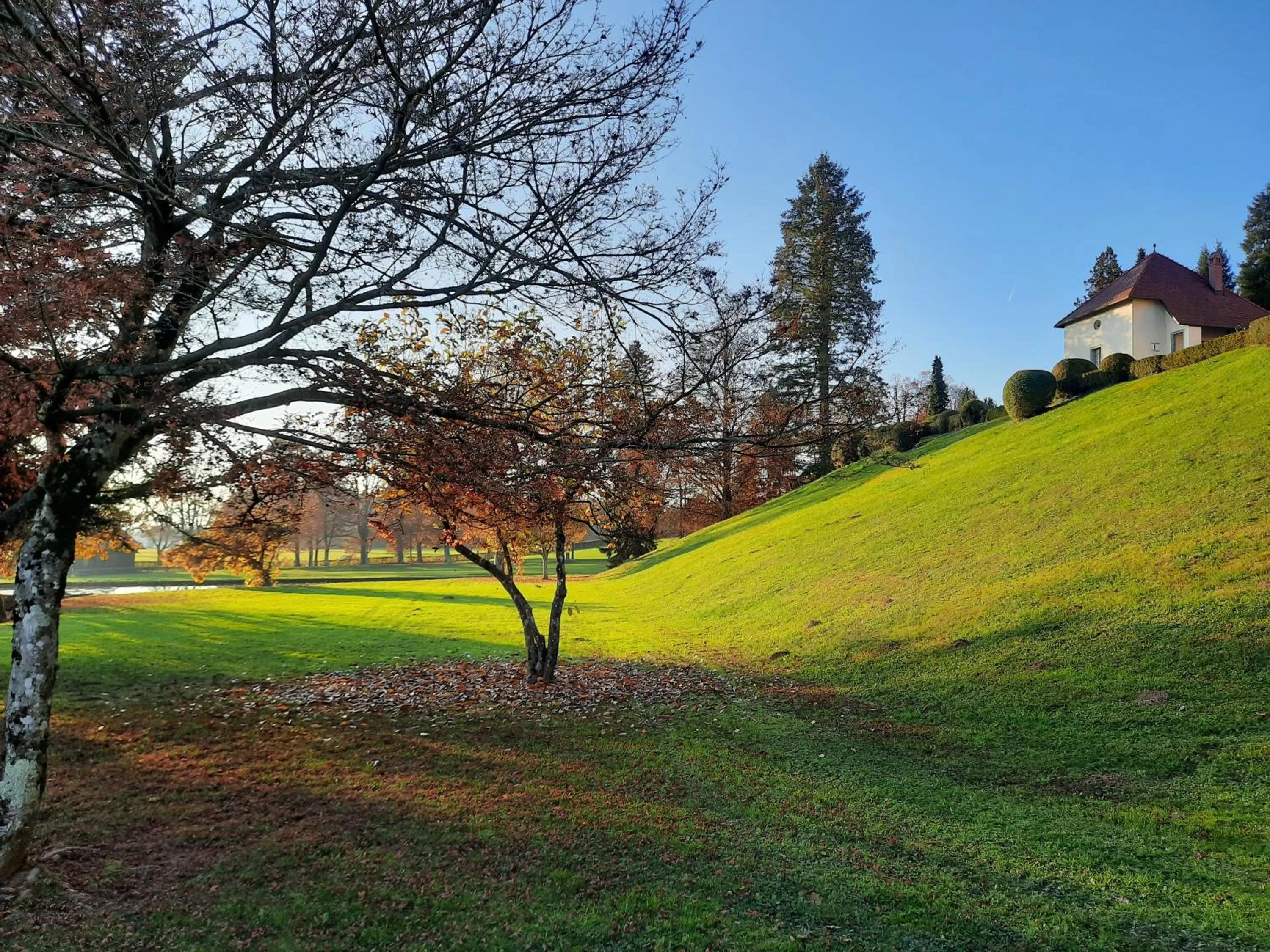 Garden in Grad Strmol
