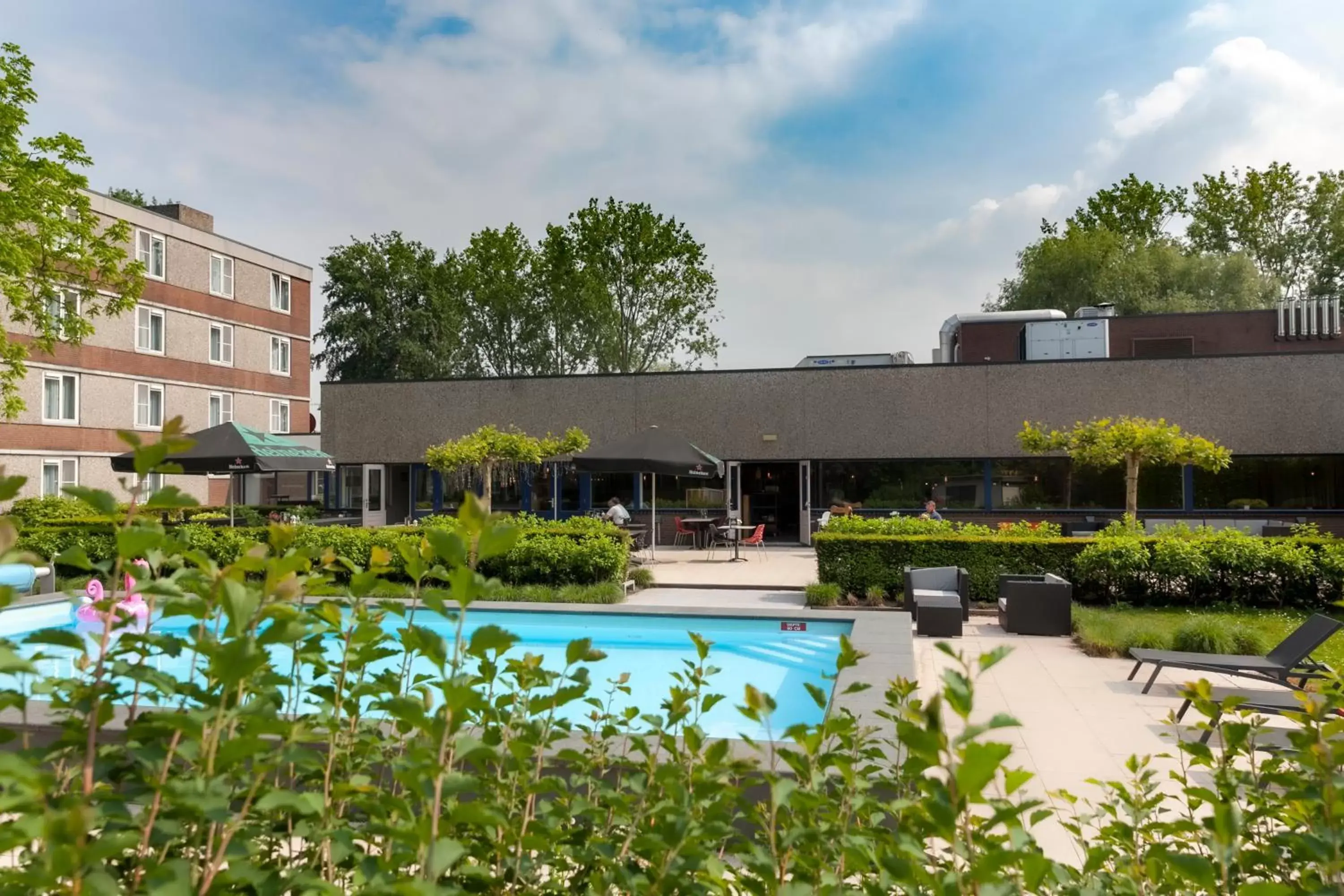 Pool view, Swimming Pool in Novotel Rotterdam - Schiedam