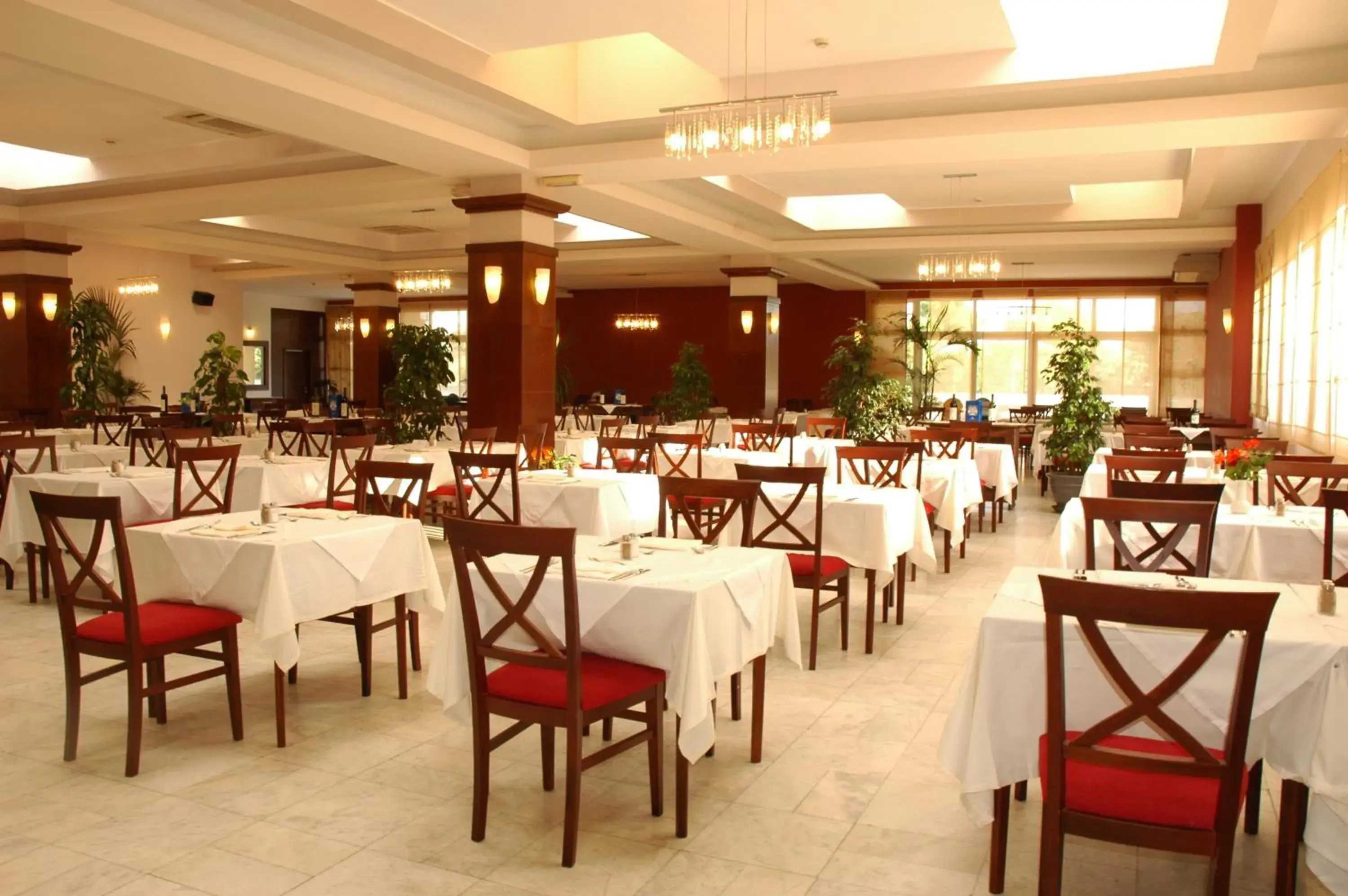 Restaurant/Places to Eat in Montenegro Beach Resort