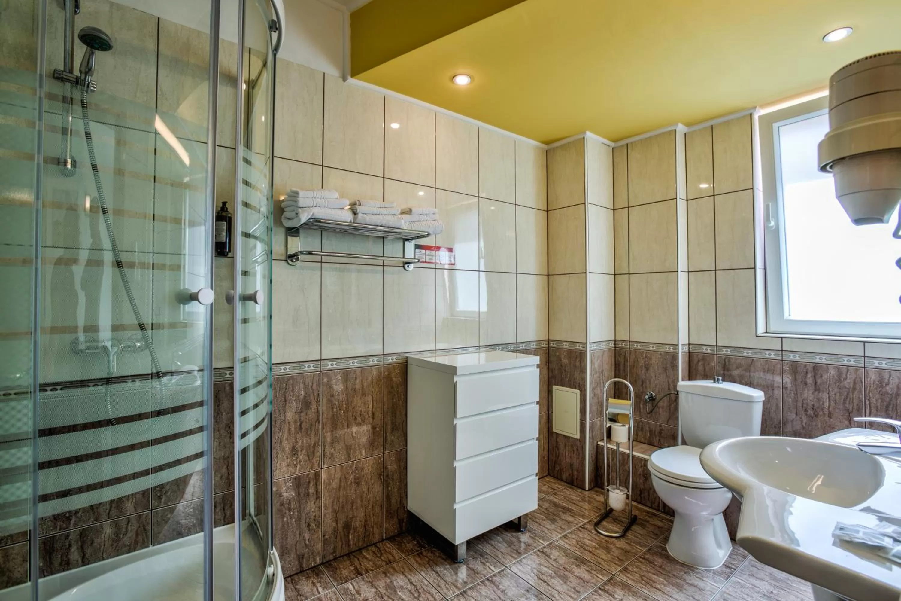 Bathroom in Hotel Ambient