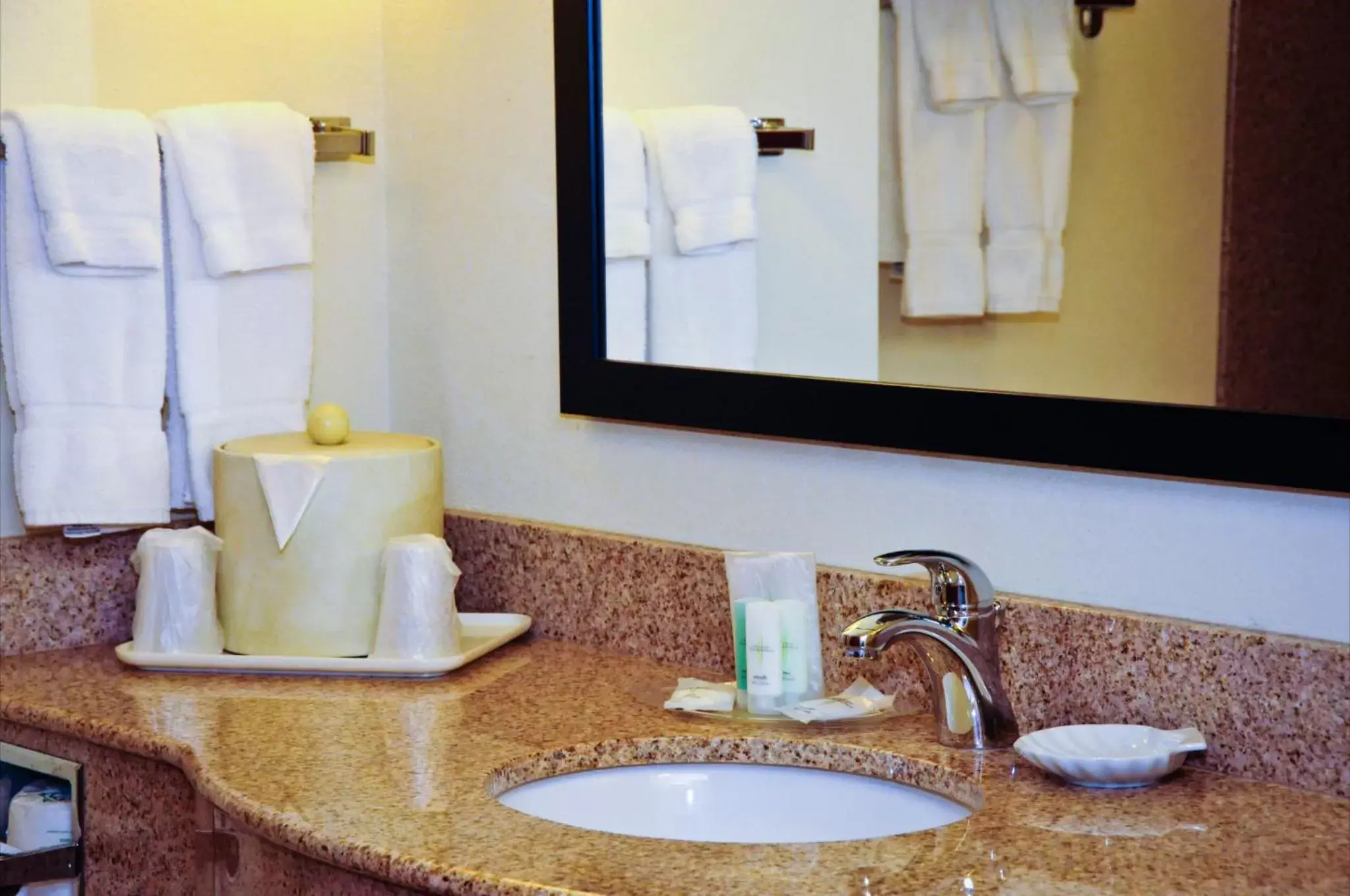 King Suite - Accessible/Non-Smoking in Comfort Suites Newport News Airport