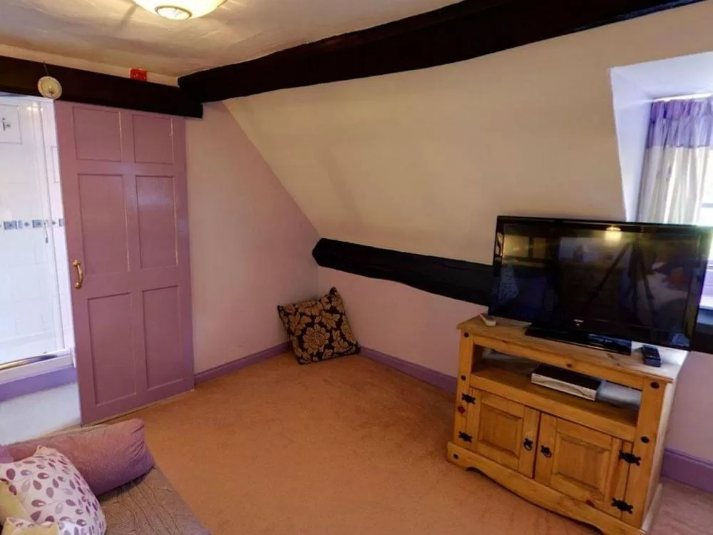 TV and multimedia in The Mug House Inn