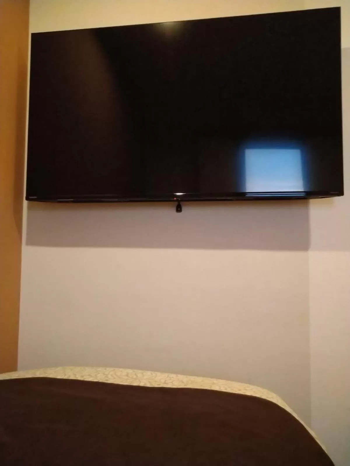 TV and multimedia in Kuretake-Inn Kakegawa