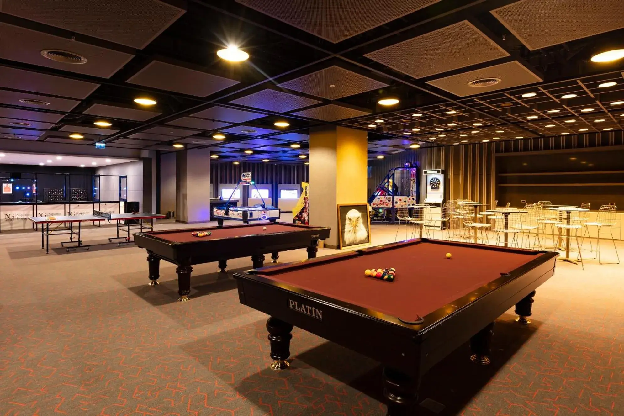 Billiards in NG Enjoy