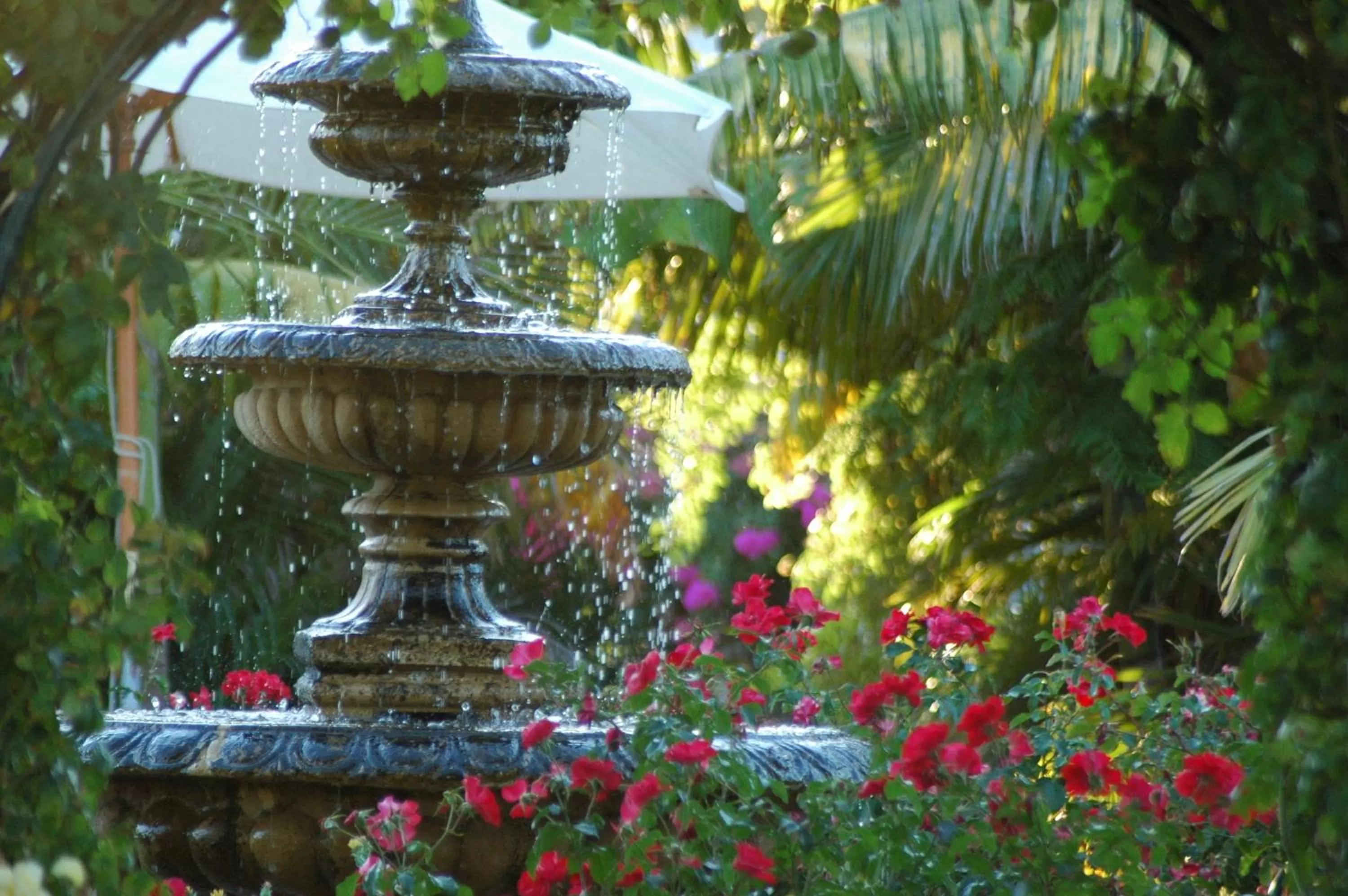 Decorative detail in McLaren Vale Motel & Apartments