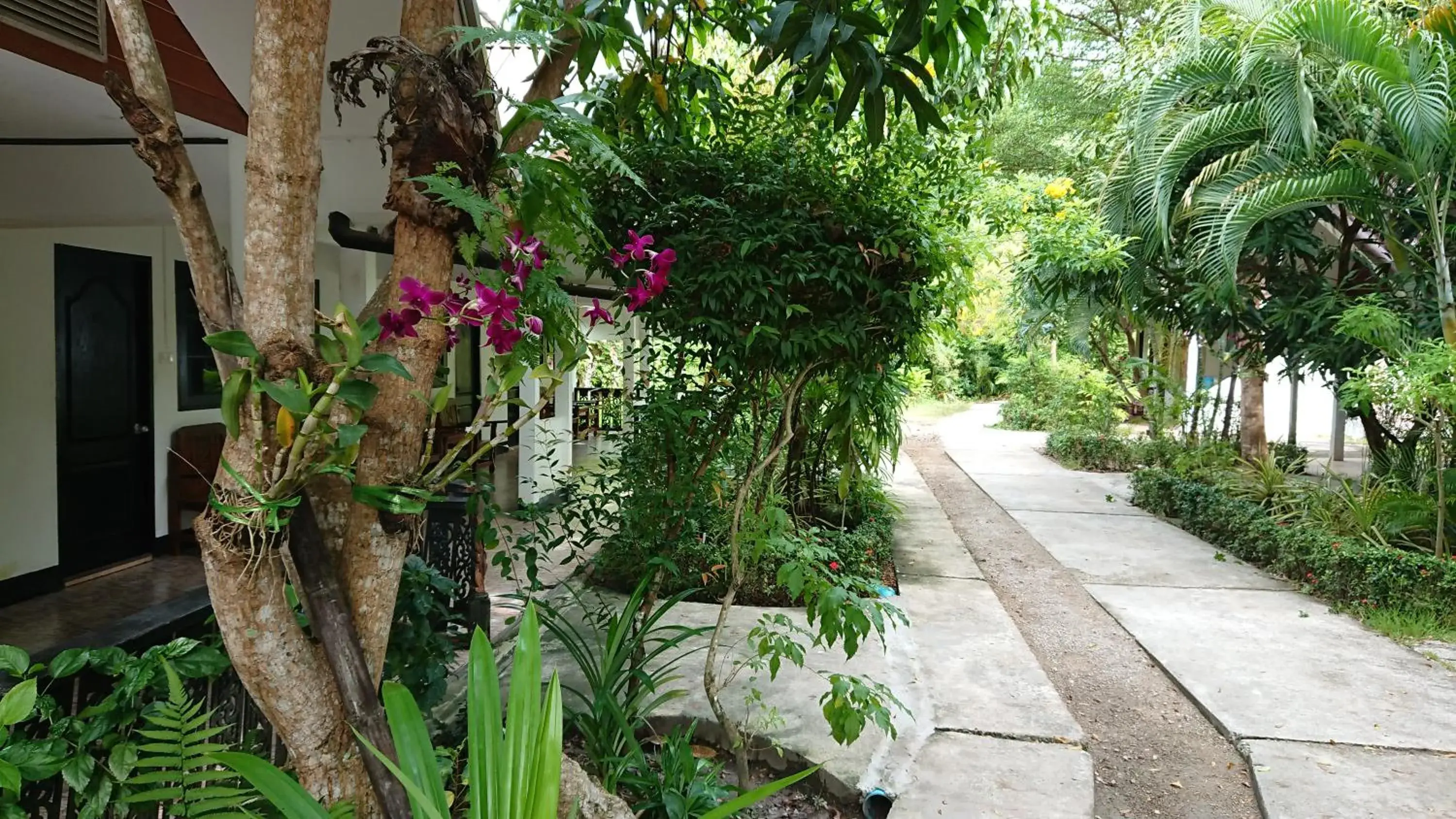 Garden in The Krabi Forest Homestay