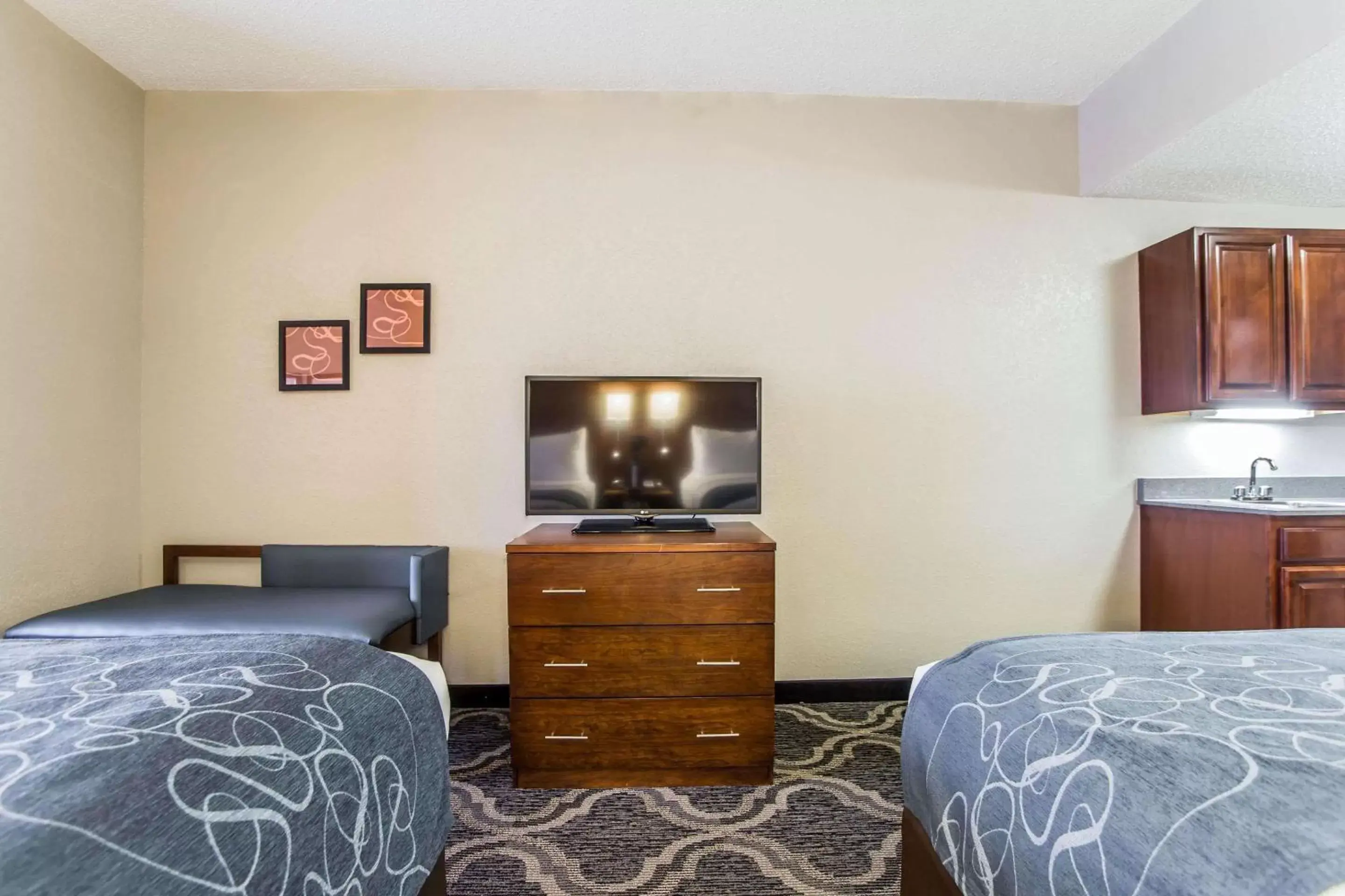 Bedroom, TV/Entertainment Center in Comfort Suites Pineville - Ballantyne Area