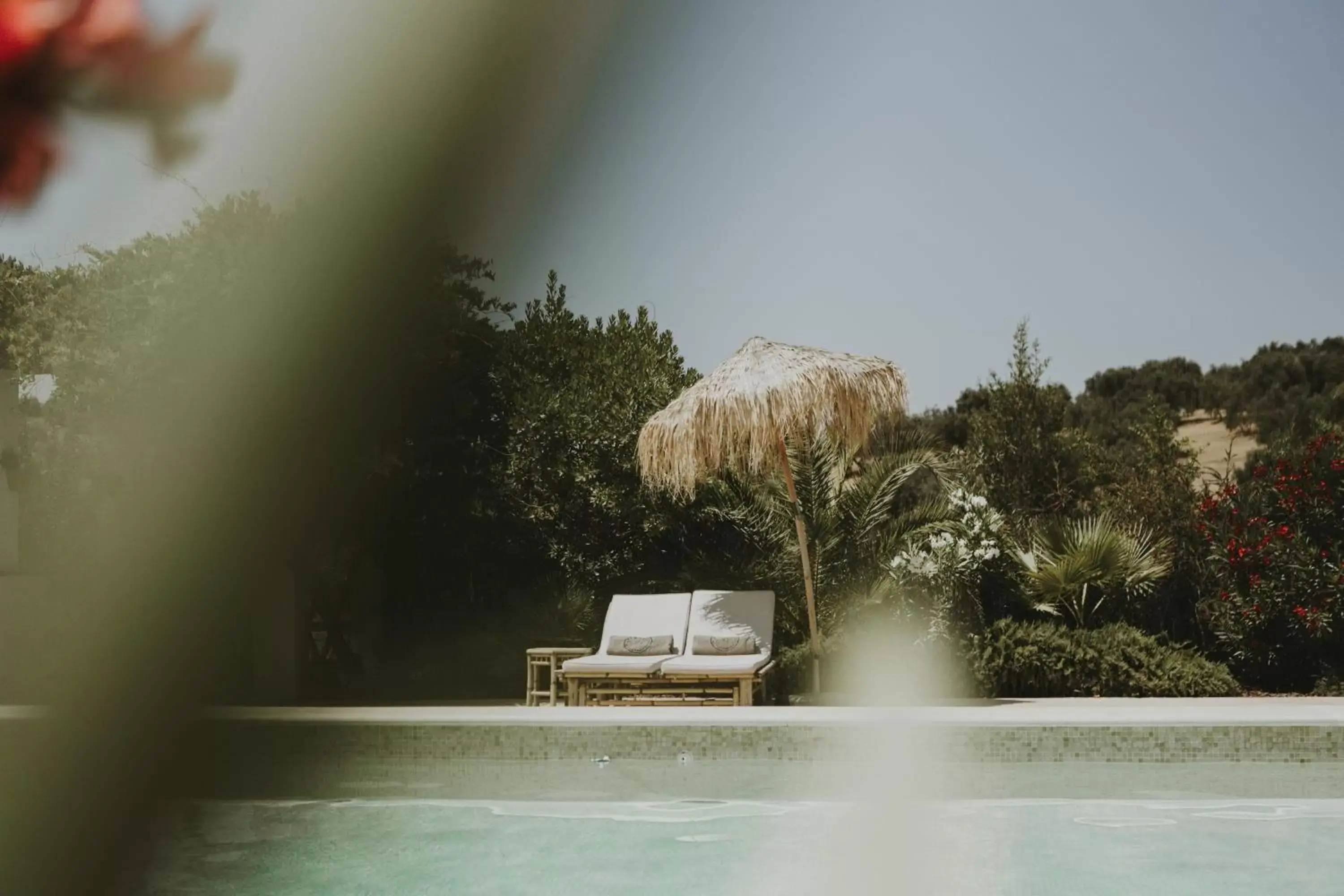 Swimming pool in Hacienda el Tarajal