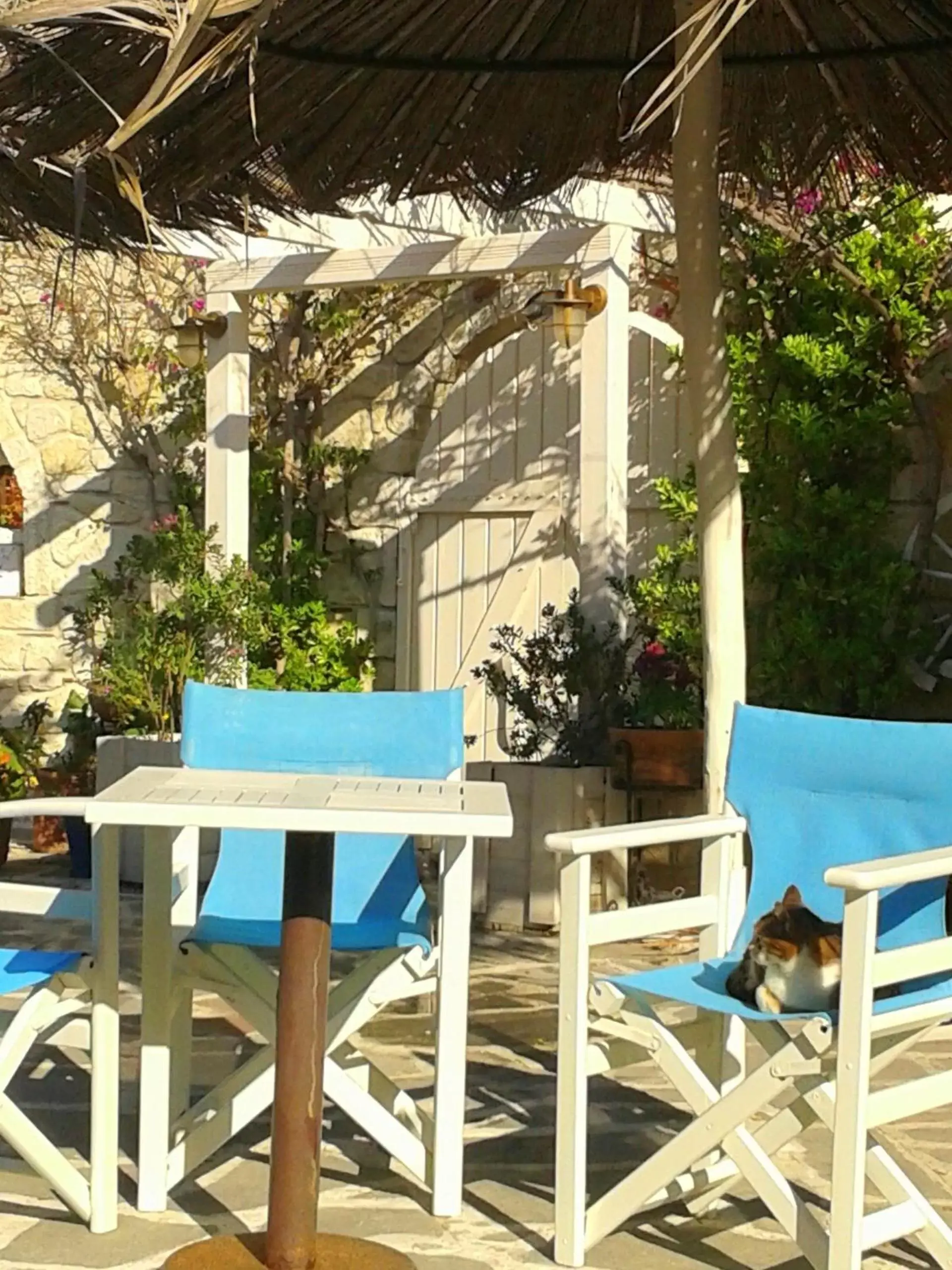 Patio in Hotel Aeollos