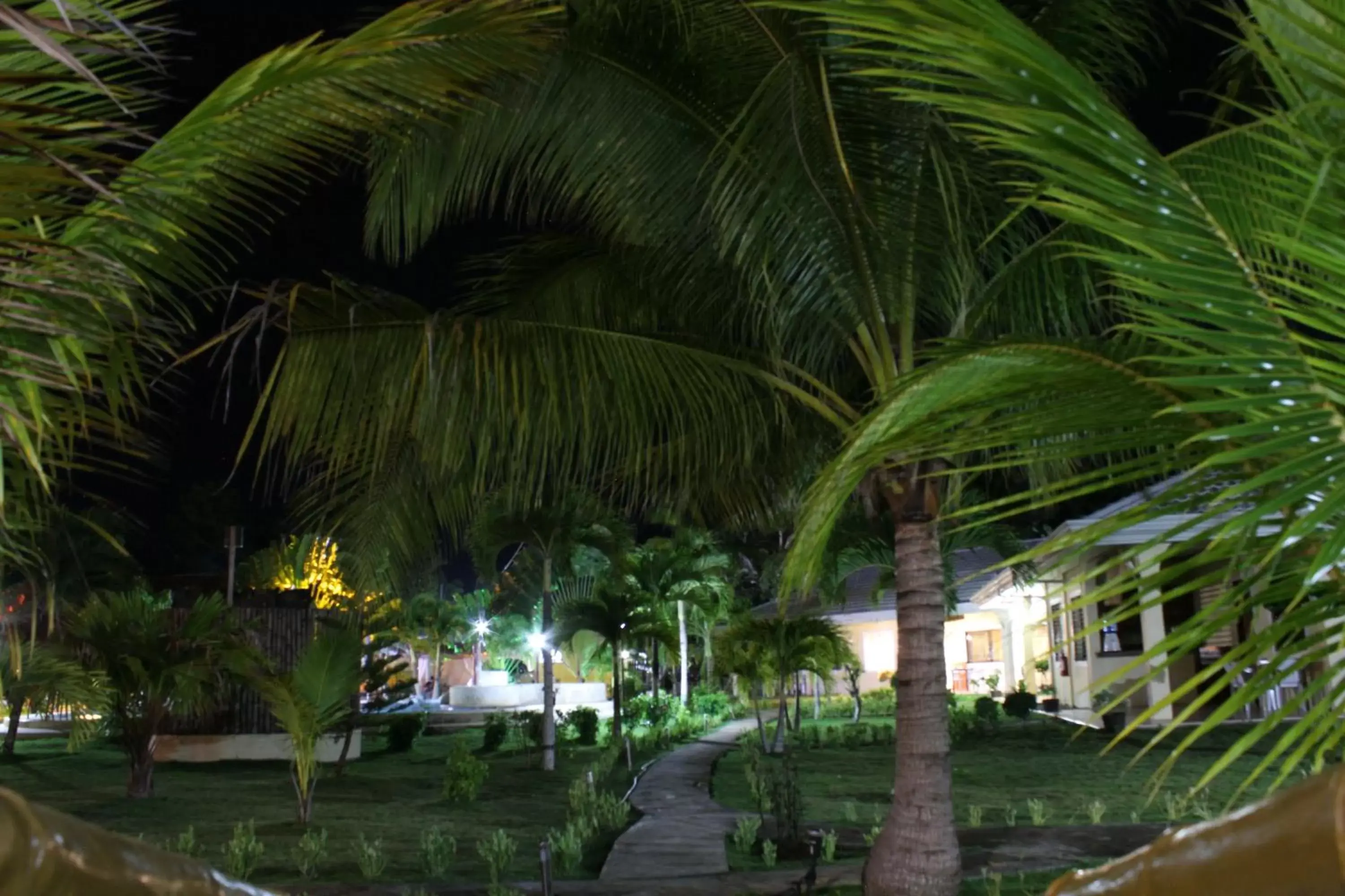 Garden in Bohol Sunside Resort