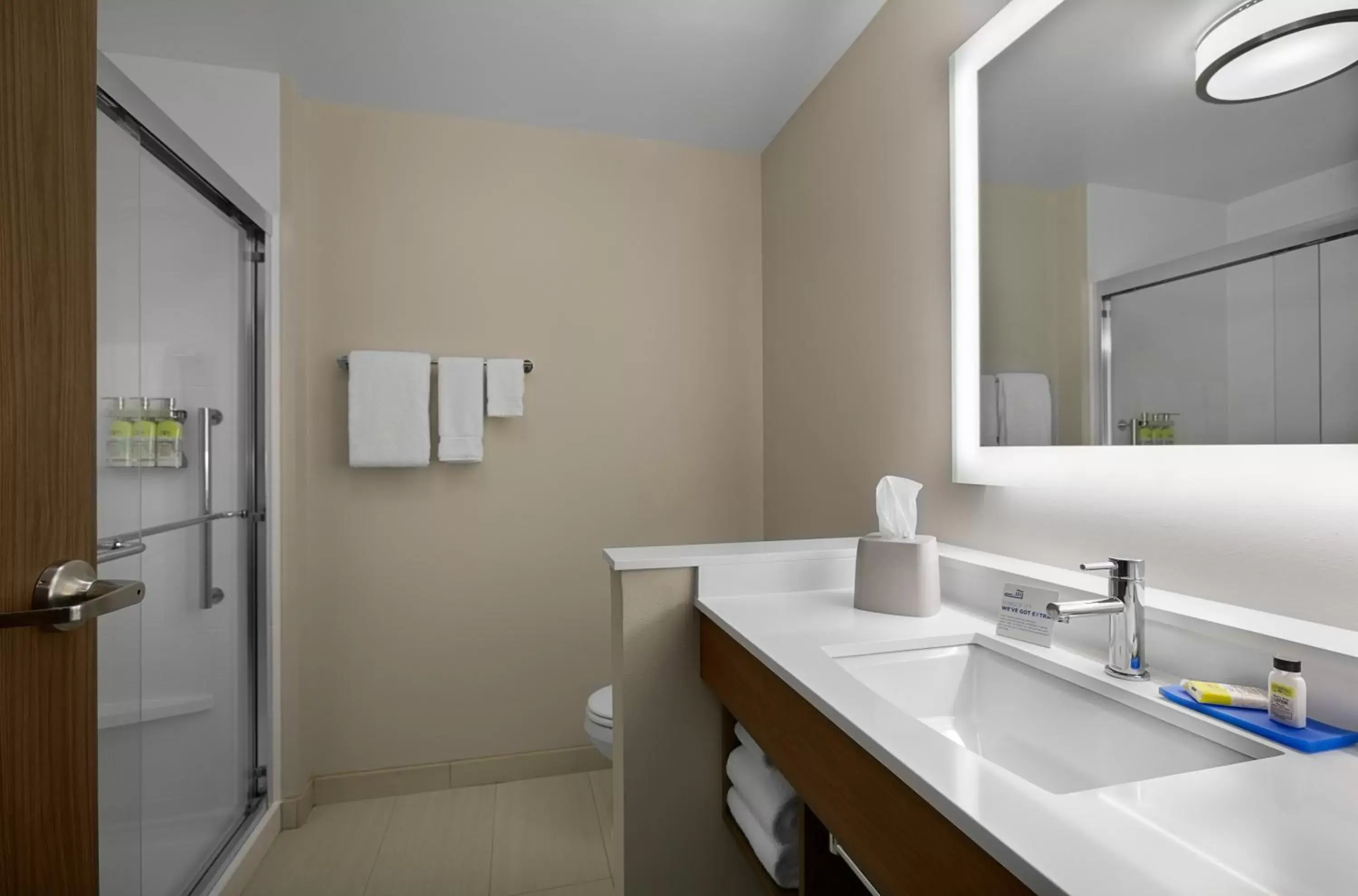 Bathroom in Holiday Inn Express & Suites - Fayetteville South, an IHG Hotel