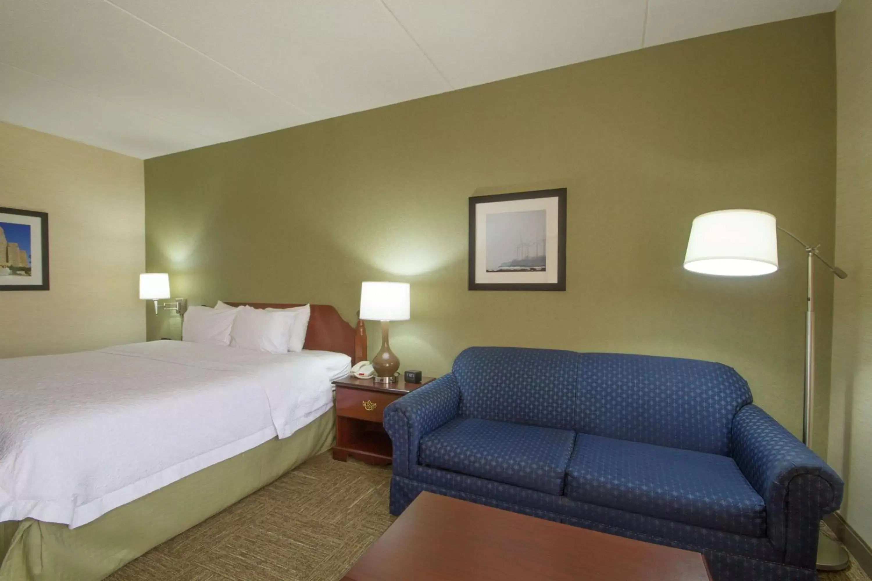 Living room, Bed in Hampton Inn Buffalo-South/I-90