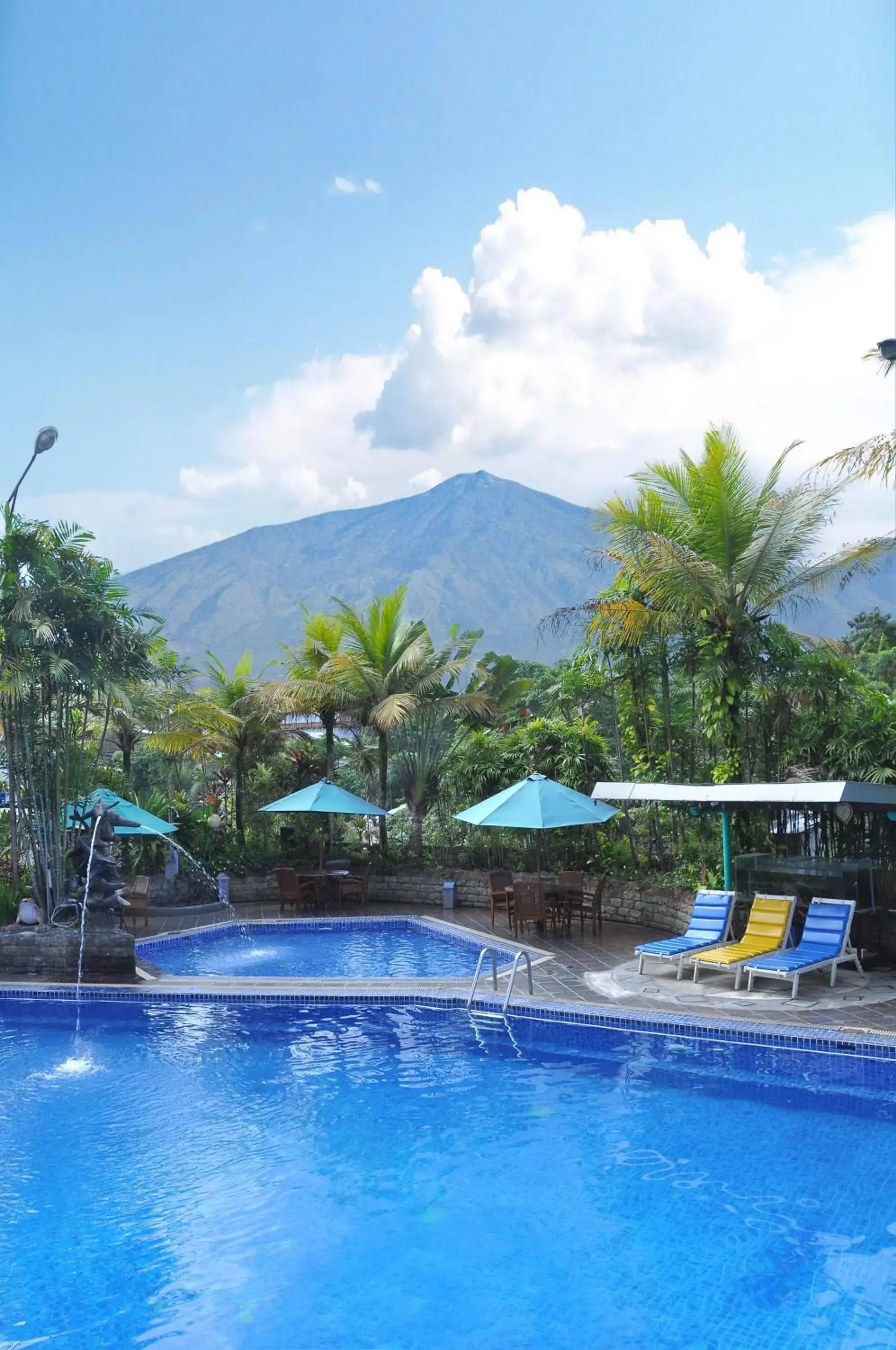 Swimming Pool in Lux Tychi Hotel Malang