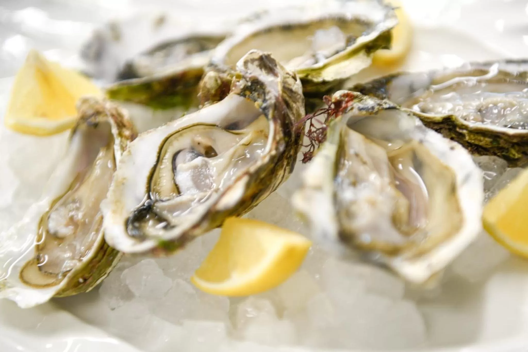 Restaurant/places to eat in Baldinini Hotel