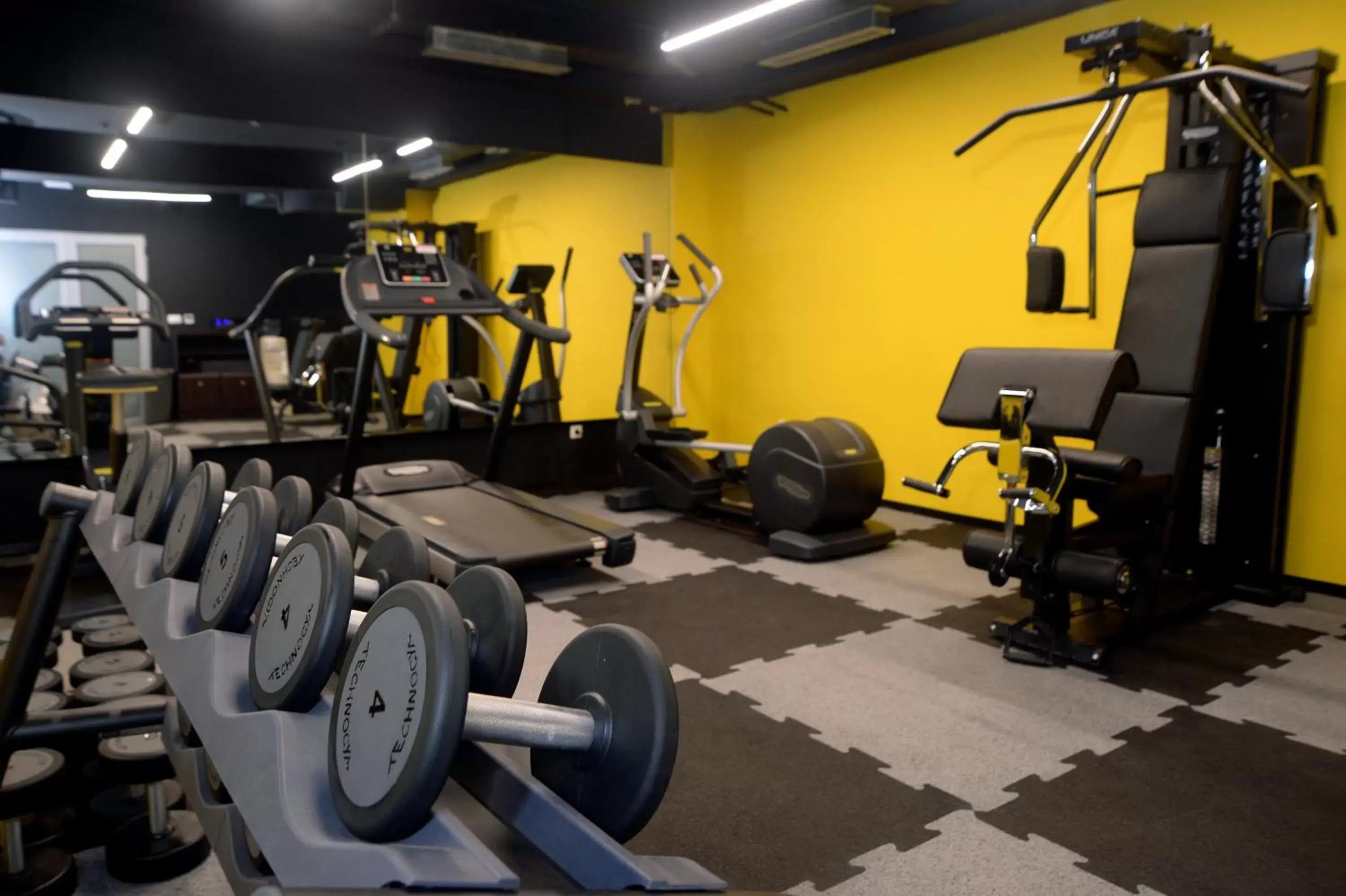 Fitness centre/facilities, Fitness Center/Facilities in Hotel Alexandar II